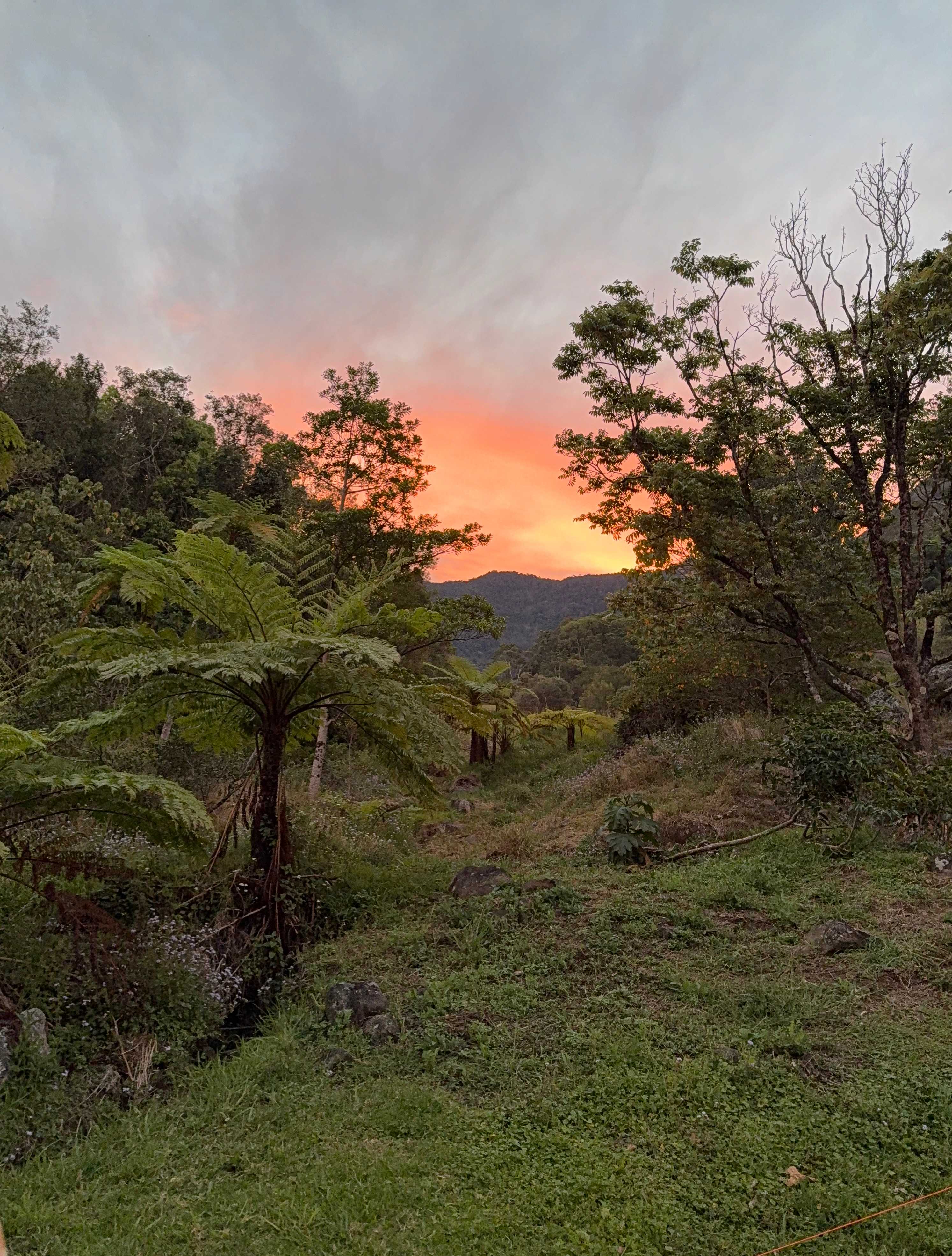 Natural Bridge Retreat