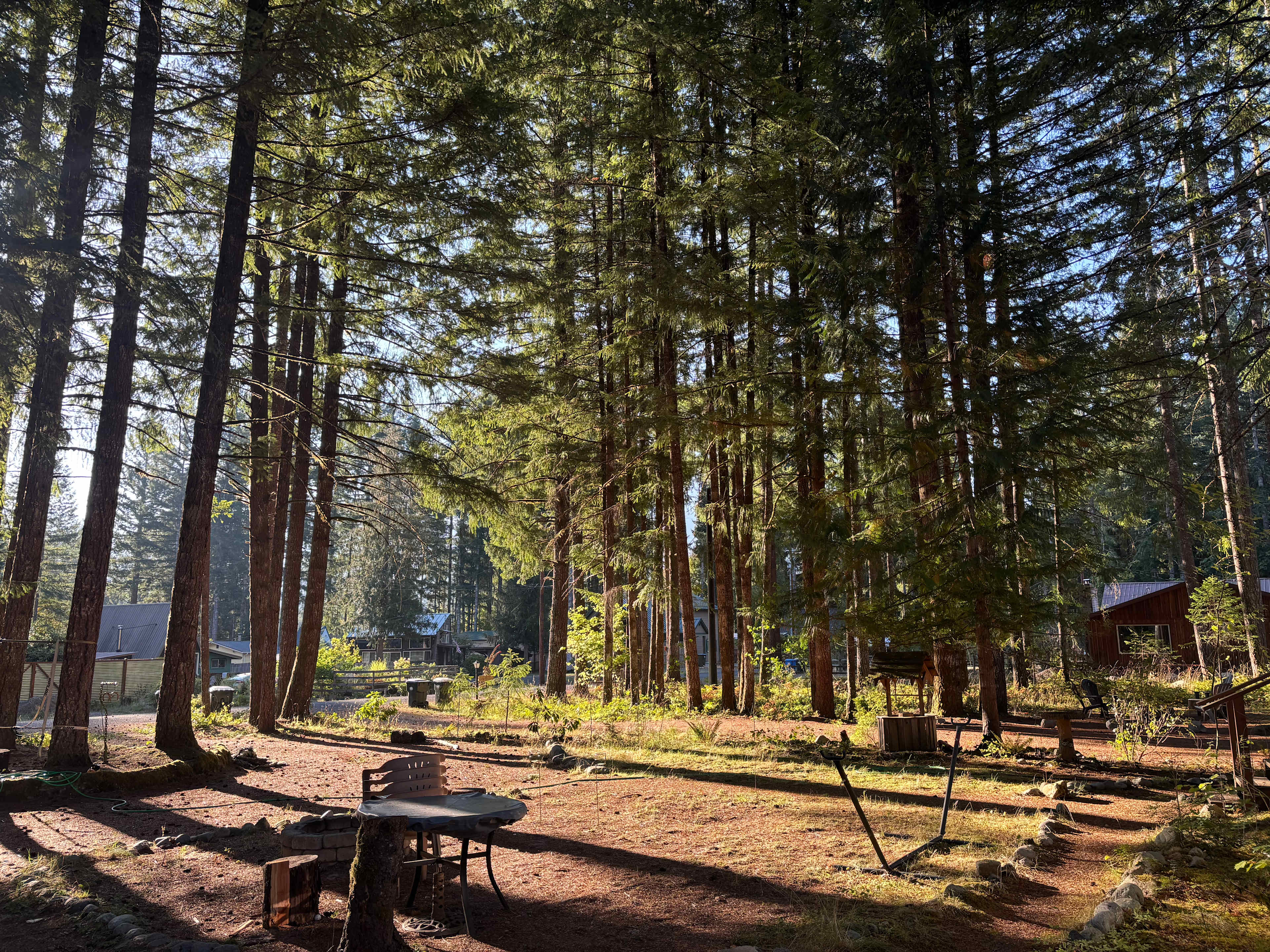 Pine and Peaks Parking