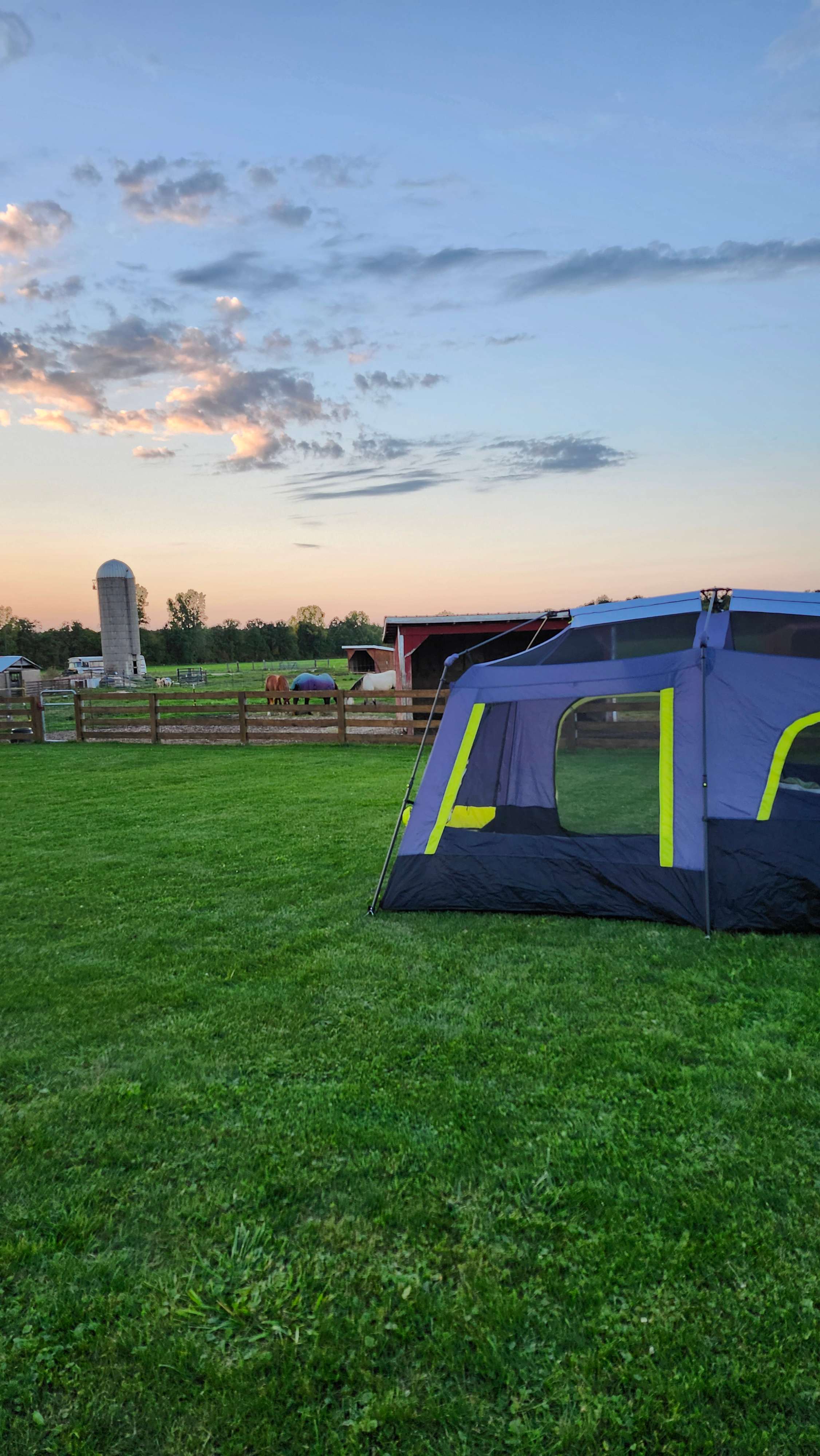 Camping on our Organic Farm