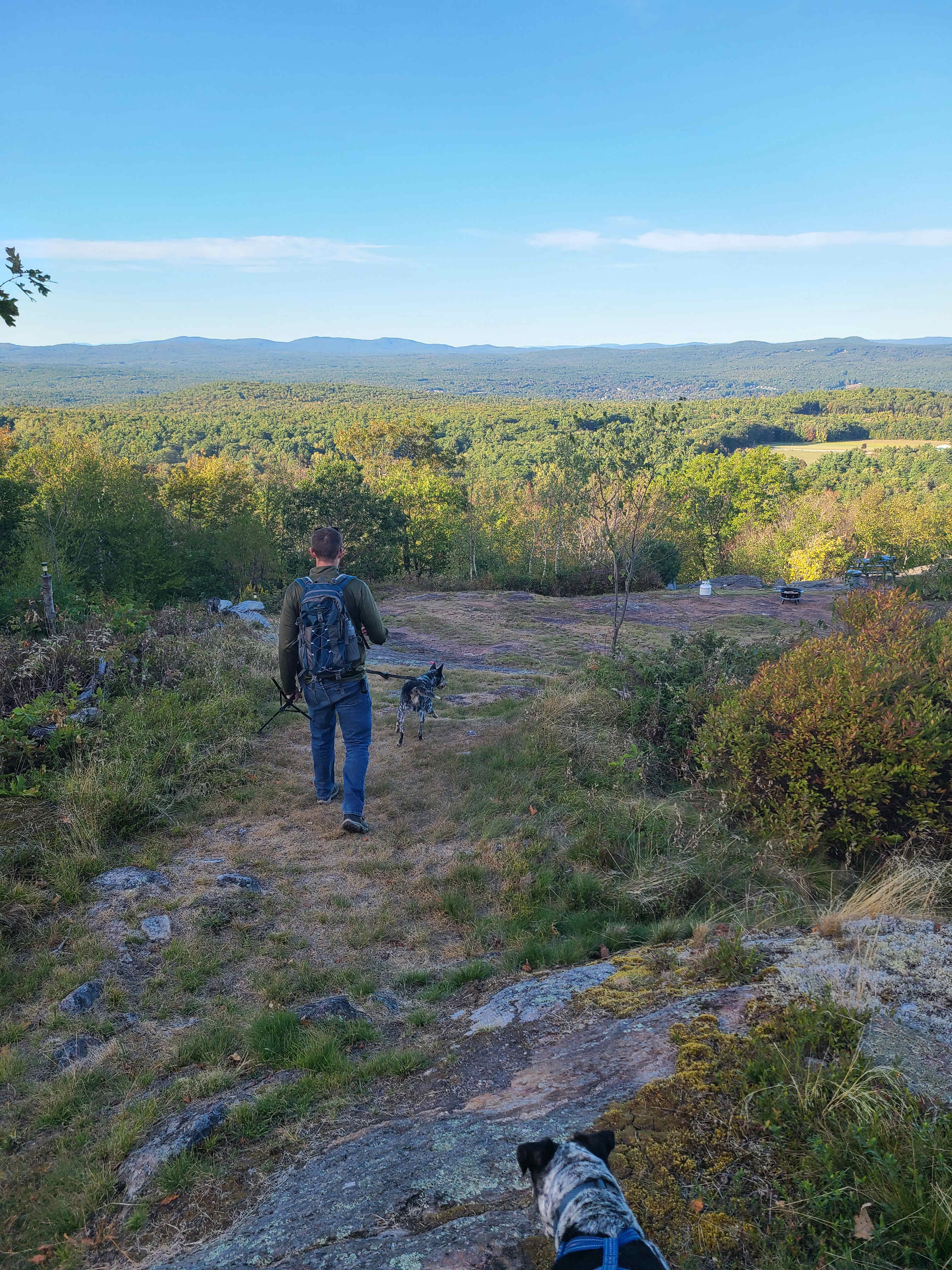 Hussey Mountain Tree Farm