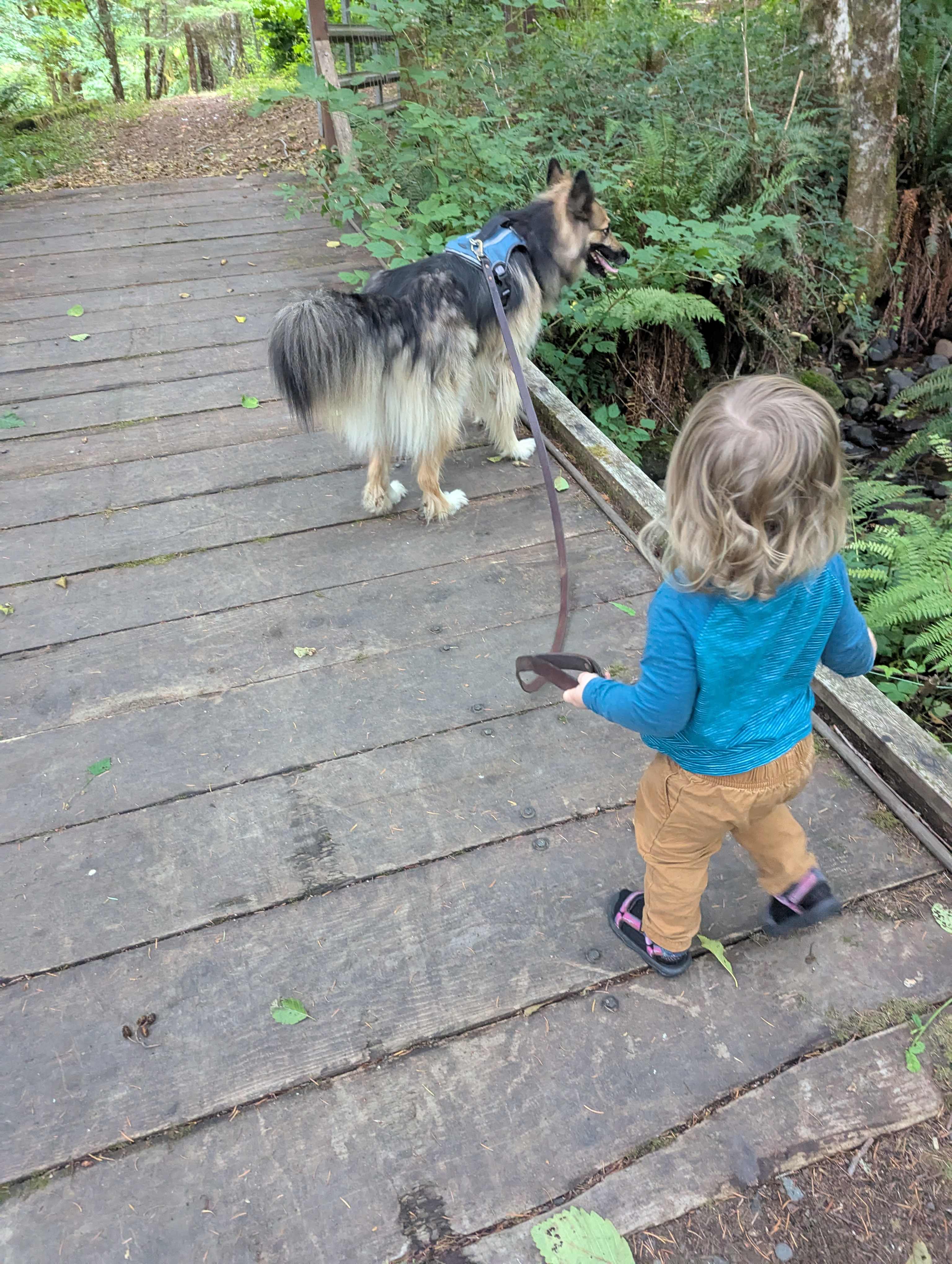 Nelson Mountain Gardens