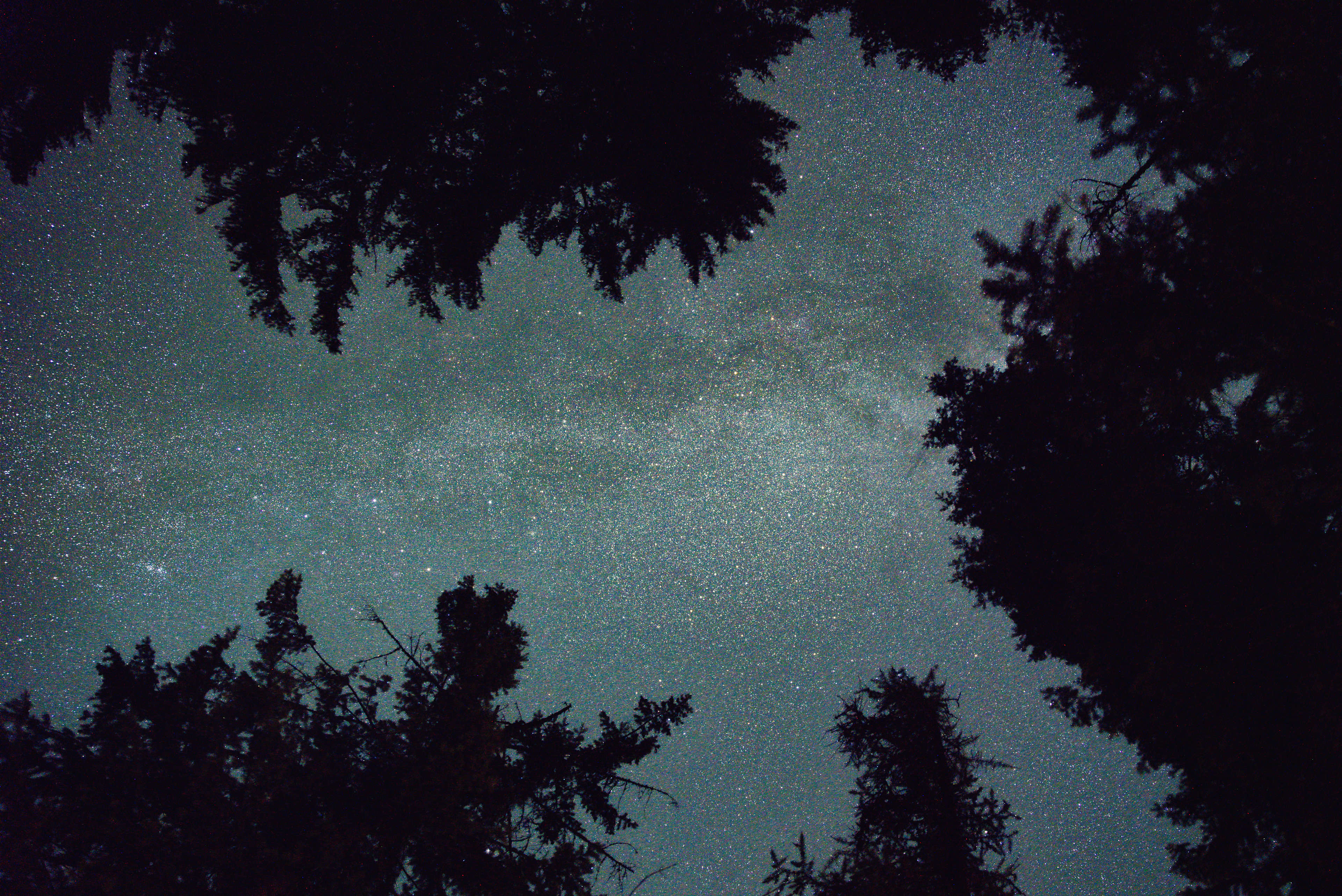 Perfectly clear night sky Milky Way directly over the cabin.