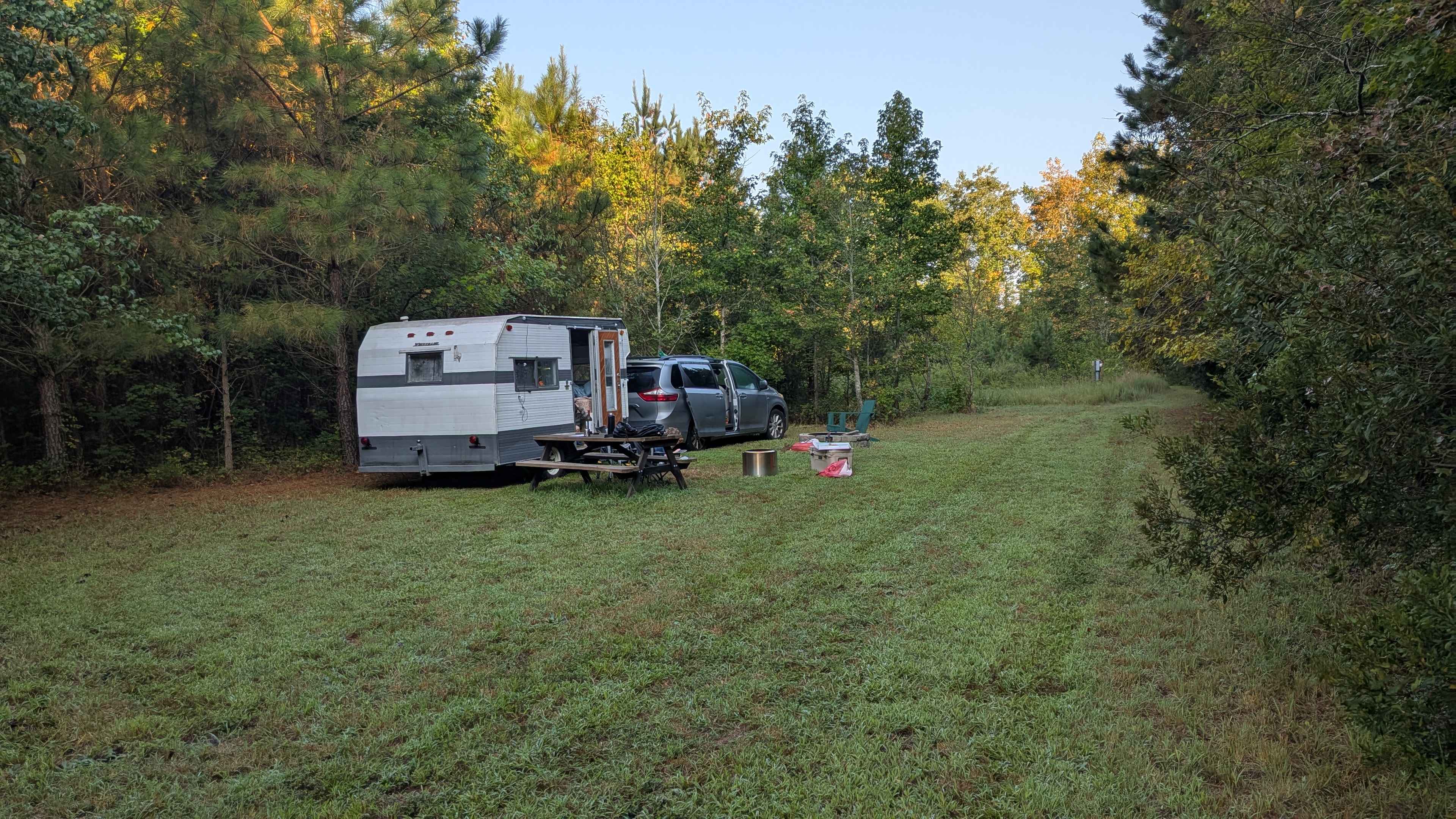 Shine & Rise Magic Food Forest