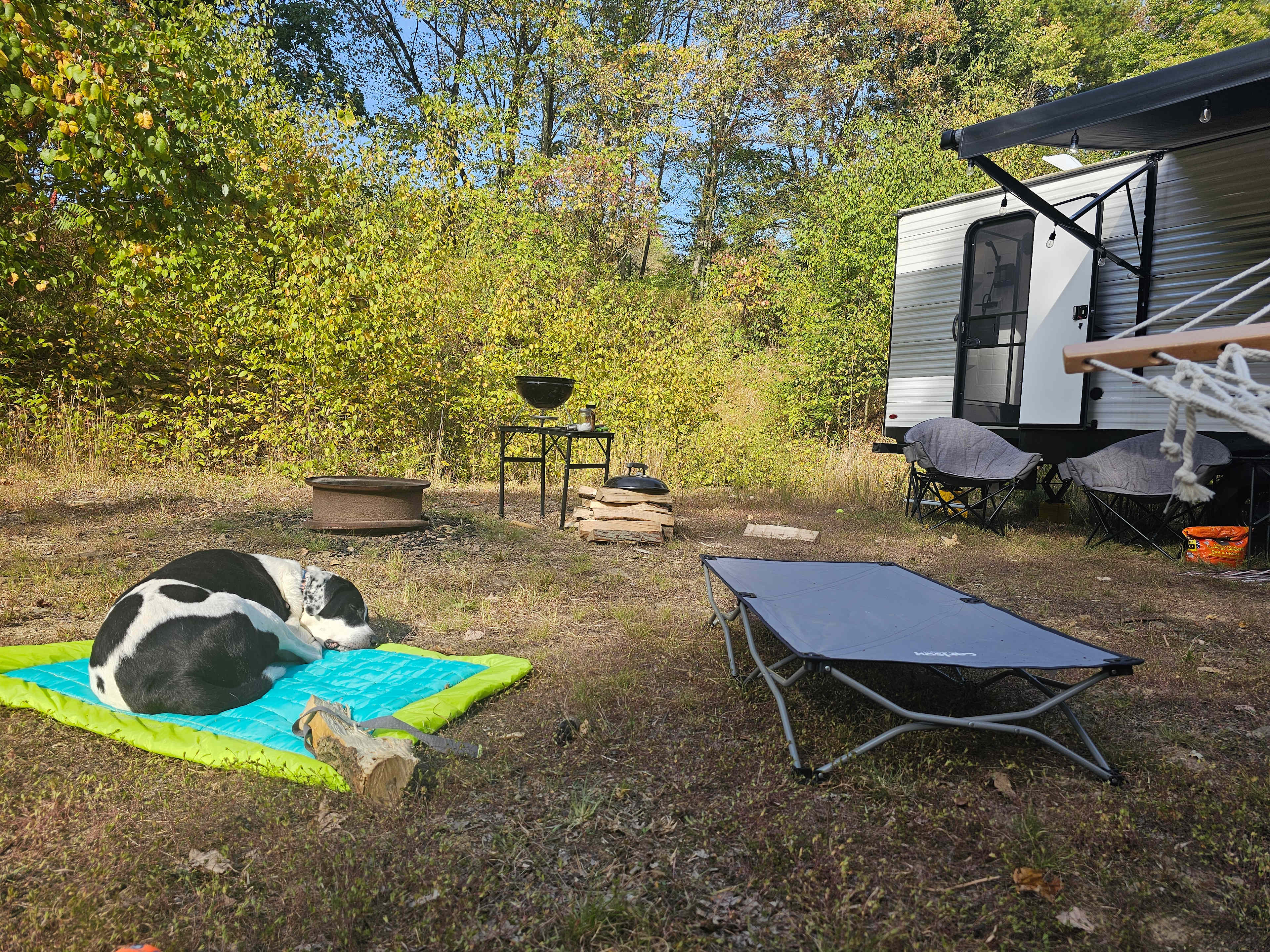 Neal Homestead Camp Sites