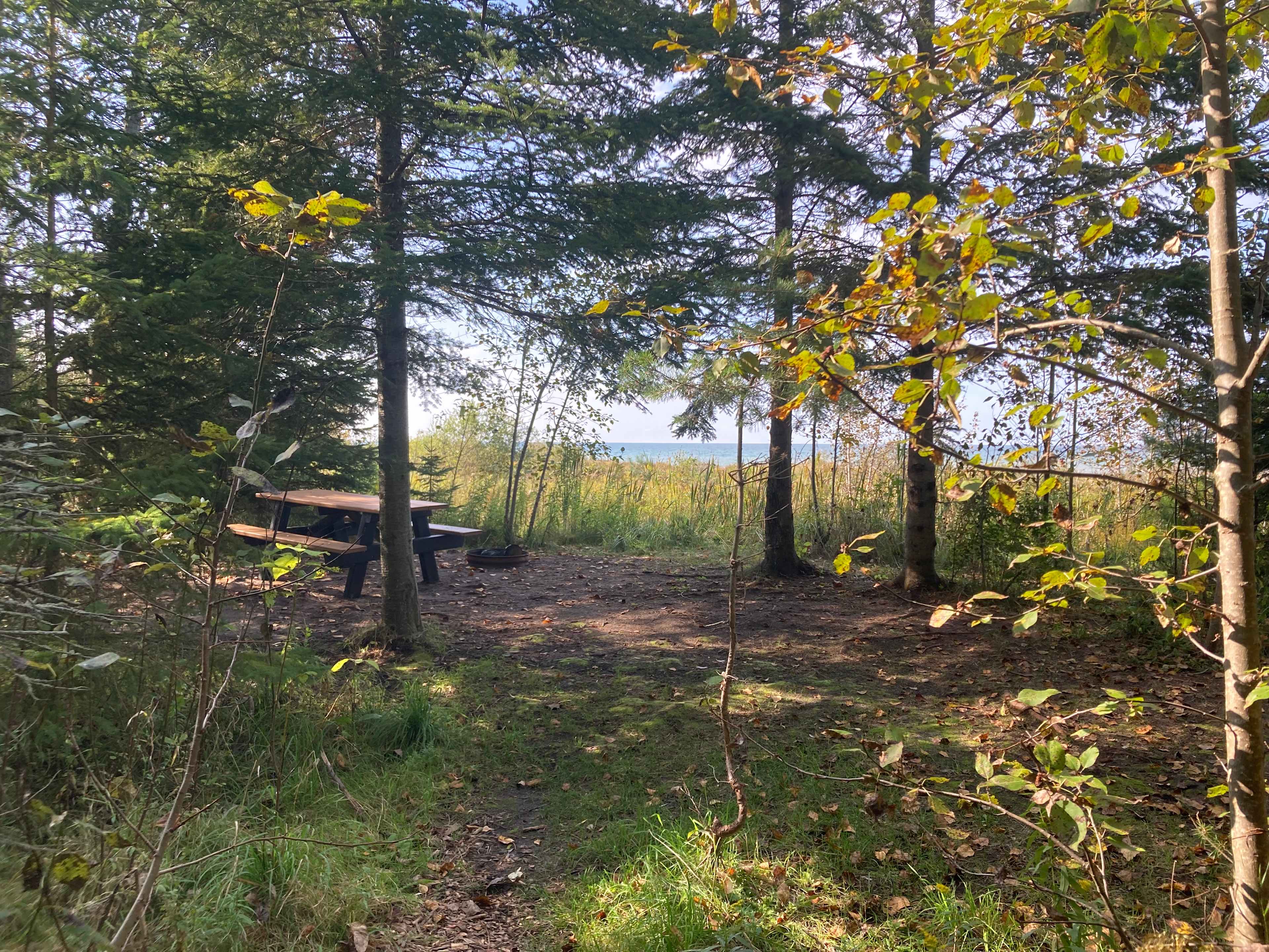 The view upon entering the site. This is only half of it! 