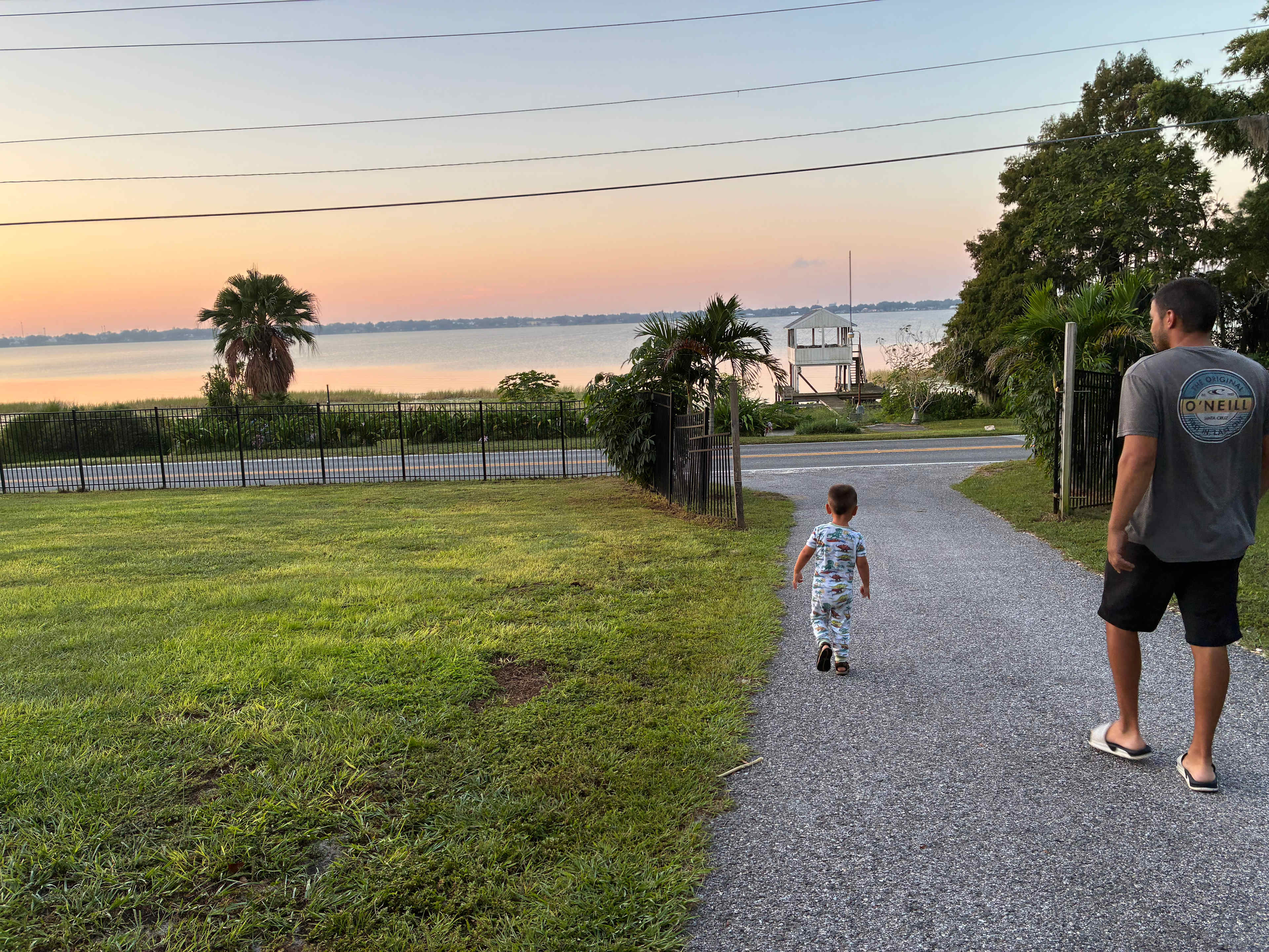 Picturesque Mango Tango Estate