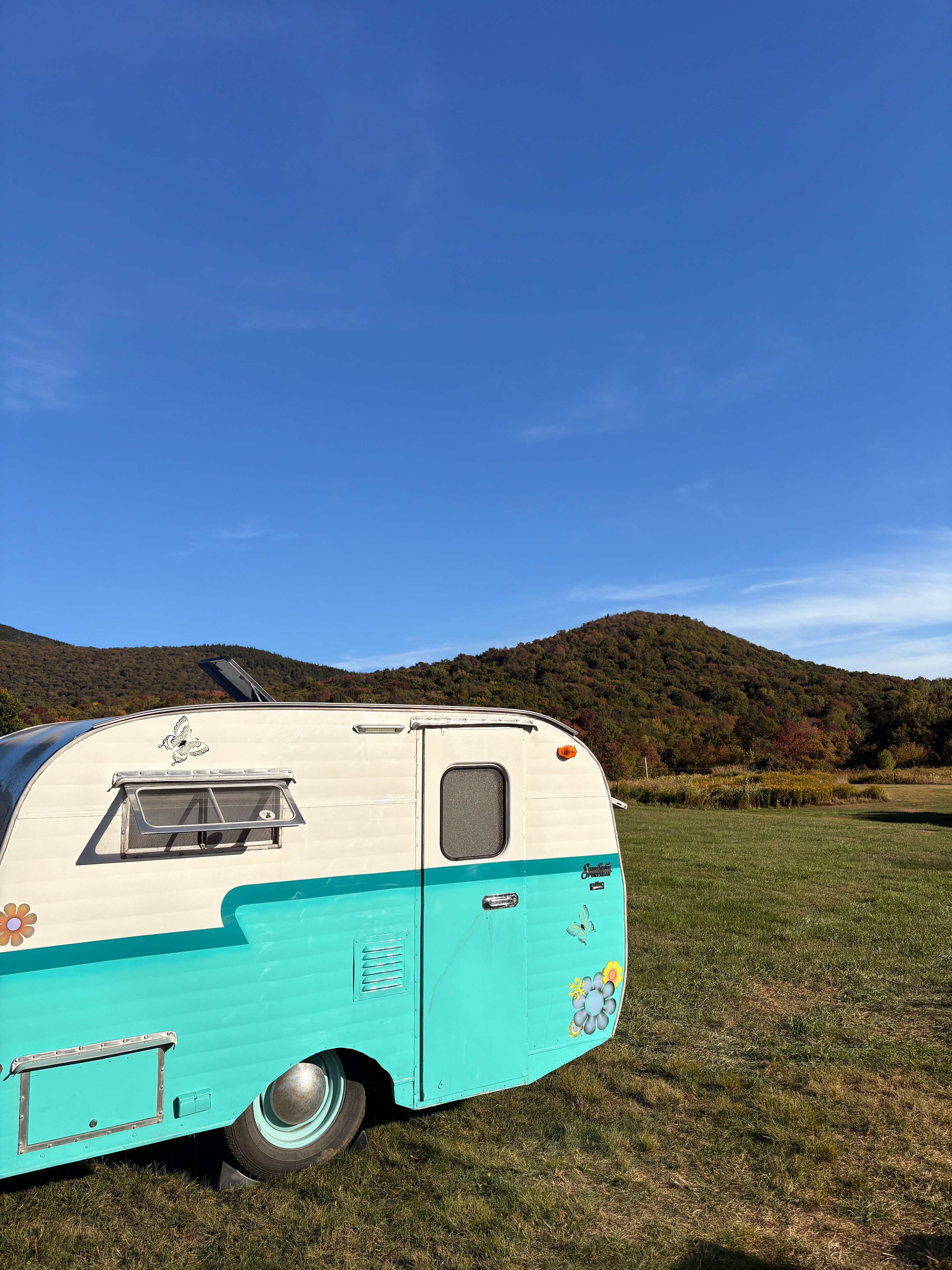 BlueberryHill  Field Camp
