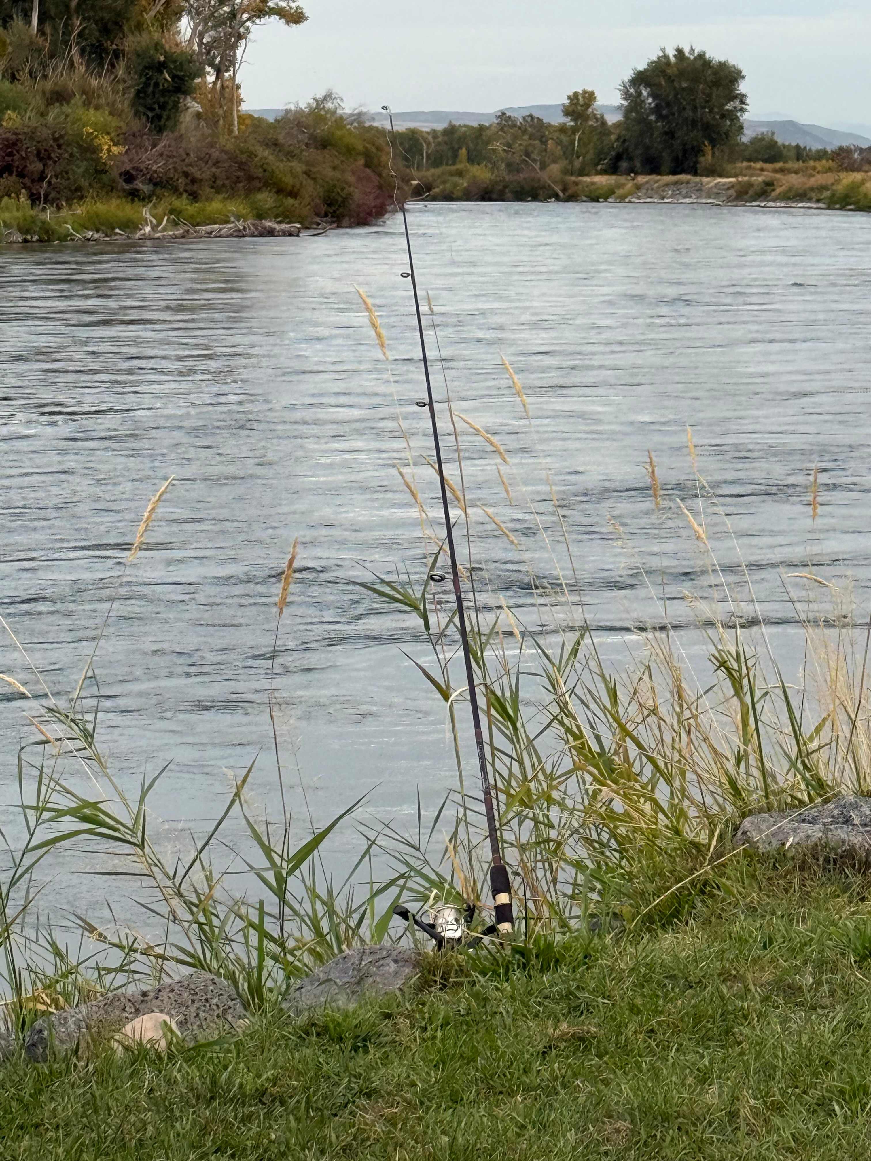 Riverside Retreat-Rigby