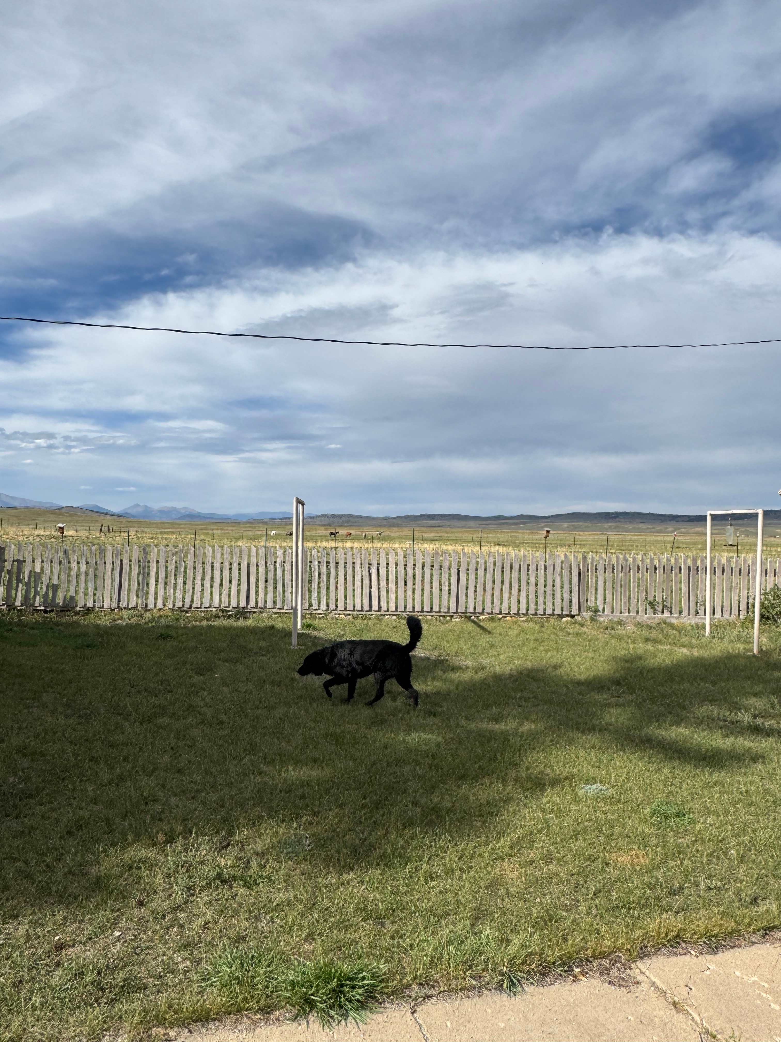 Little Buffalo Cabin