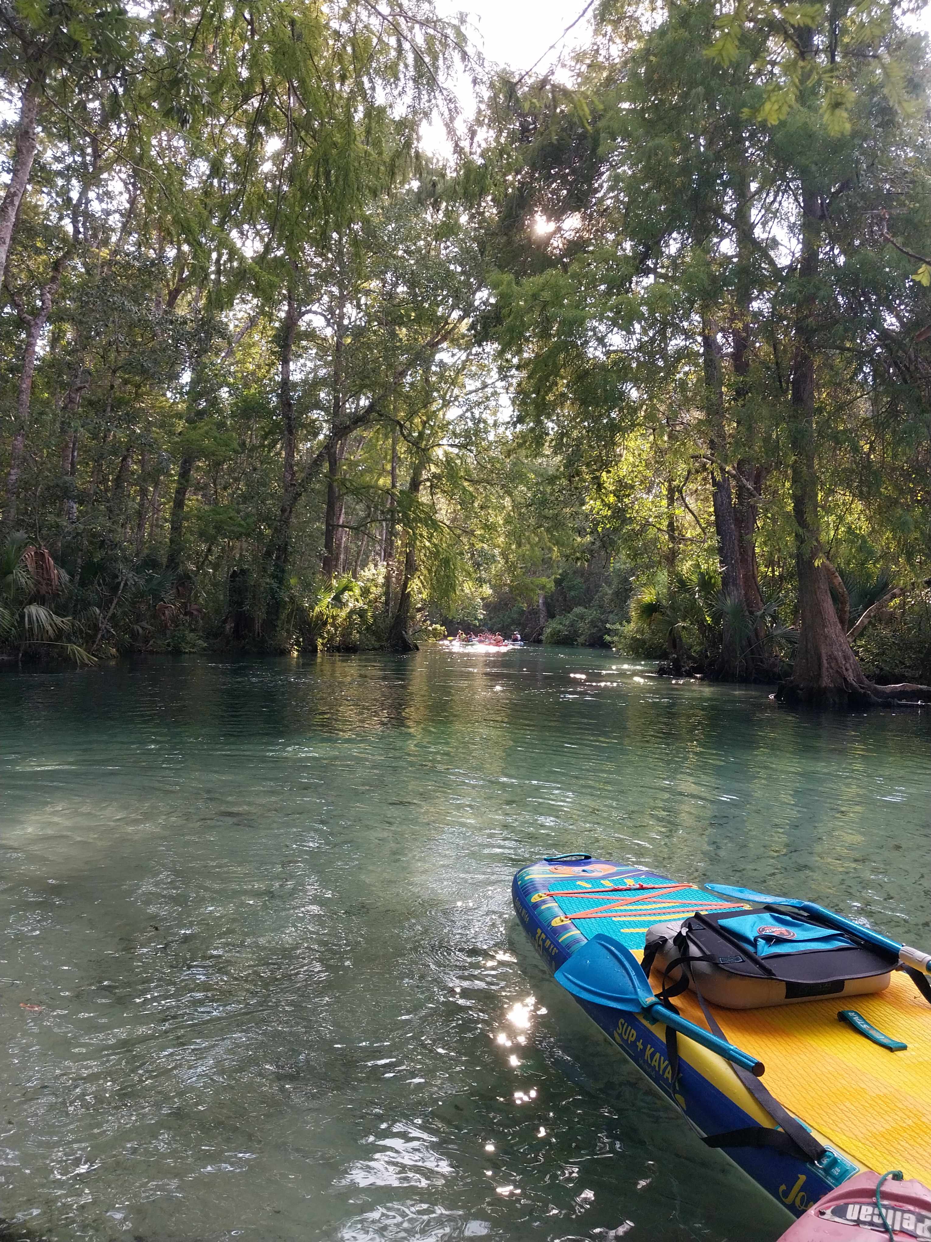 Weeki Wachee River 