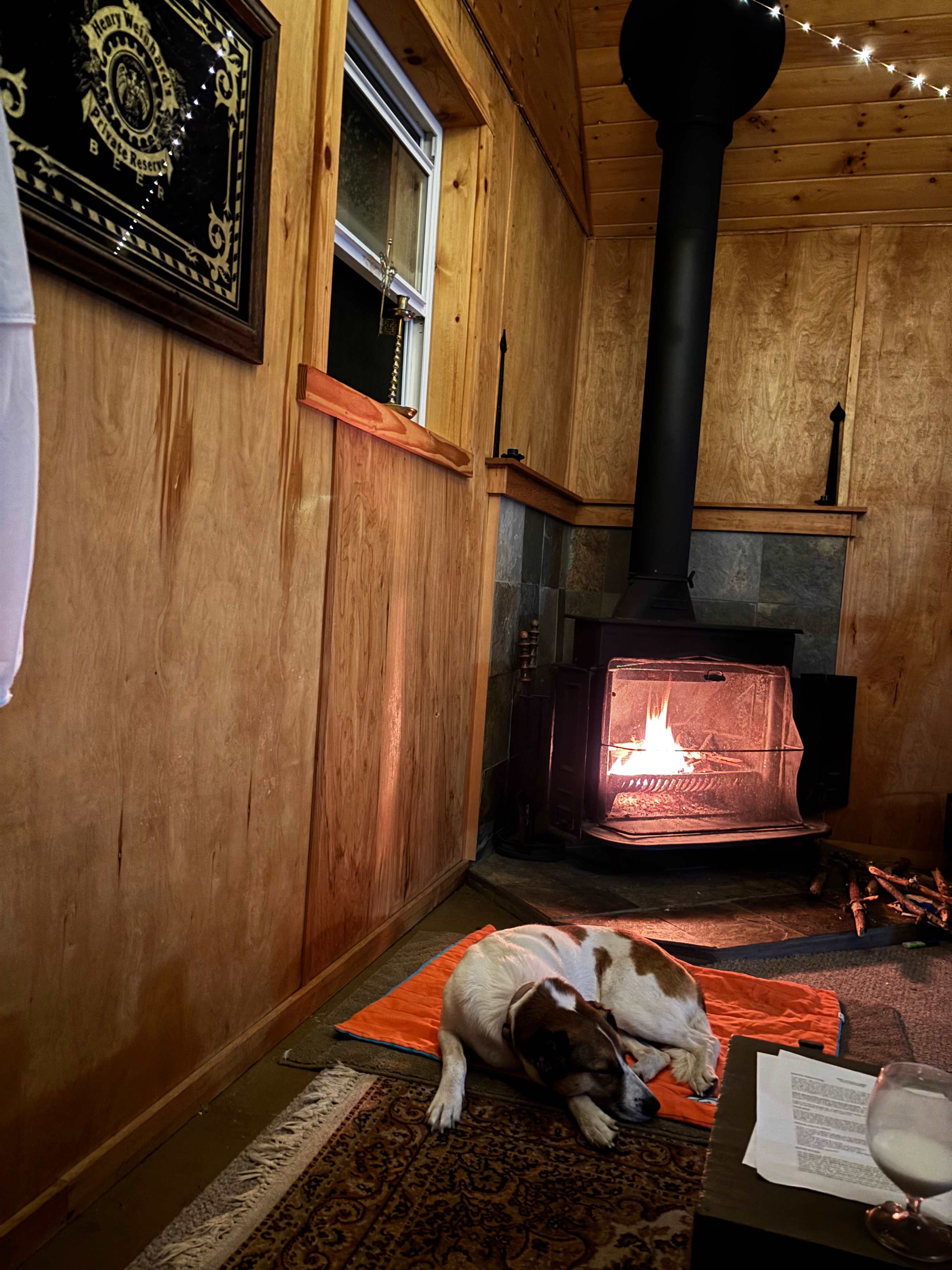 The Little Cabin in the Woods