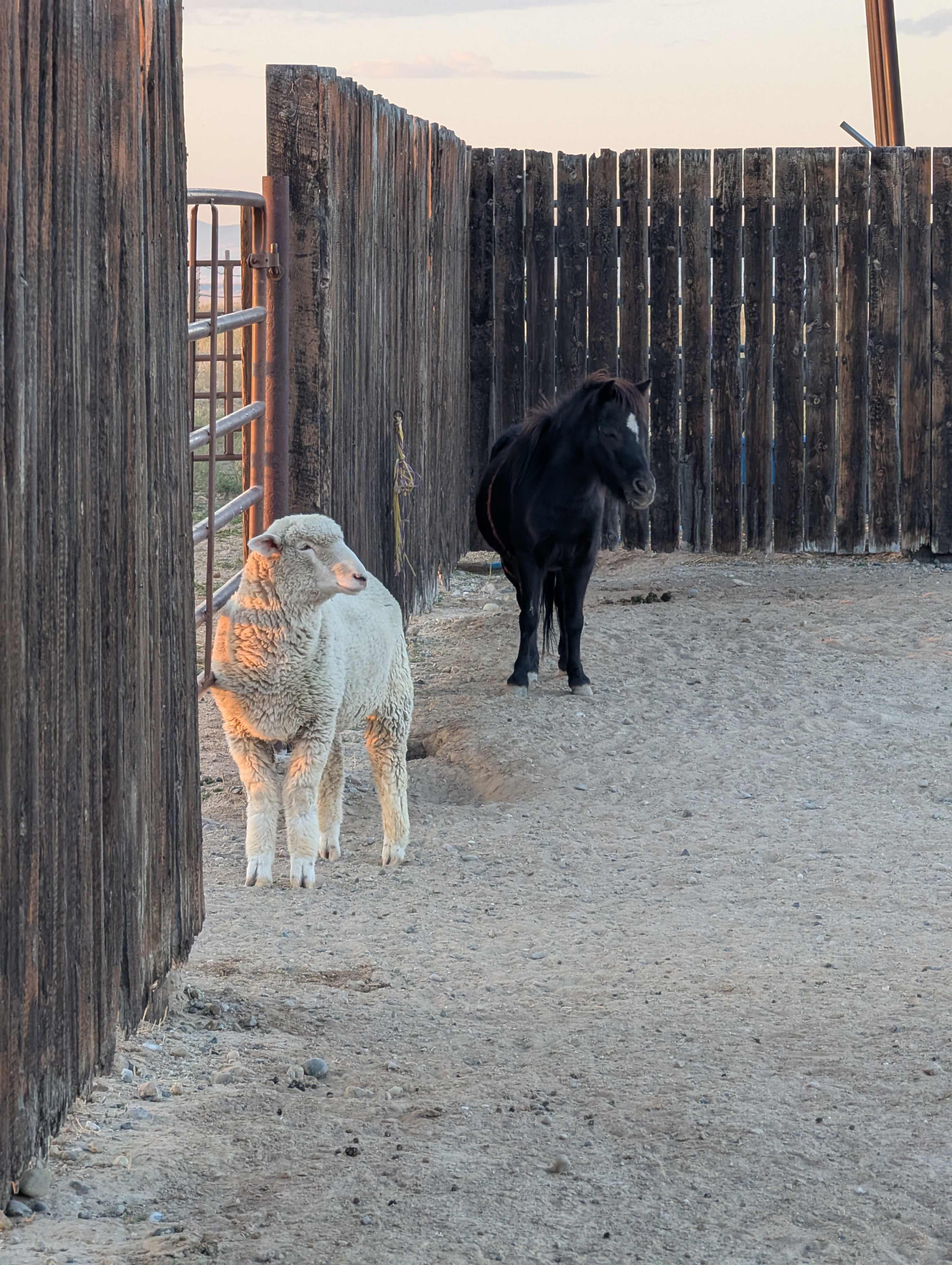Jim Moss Arena Campground