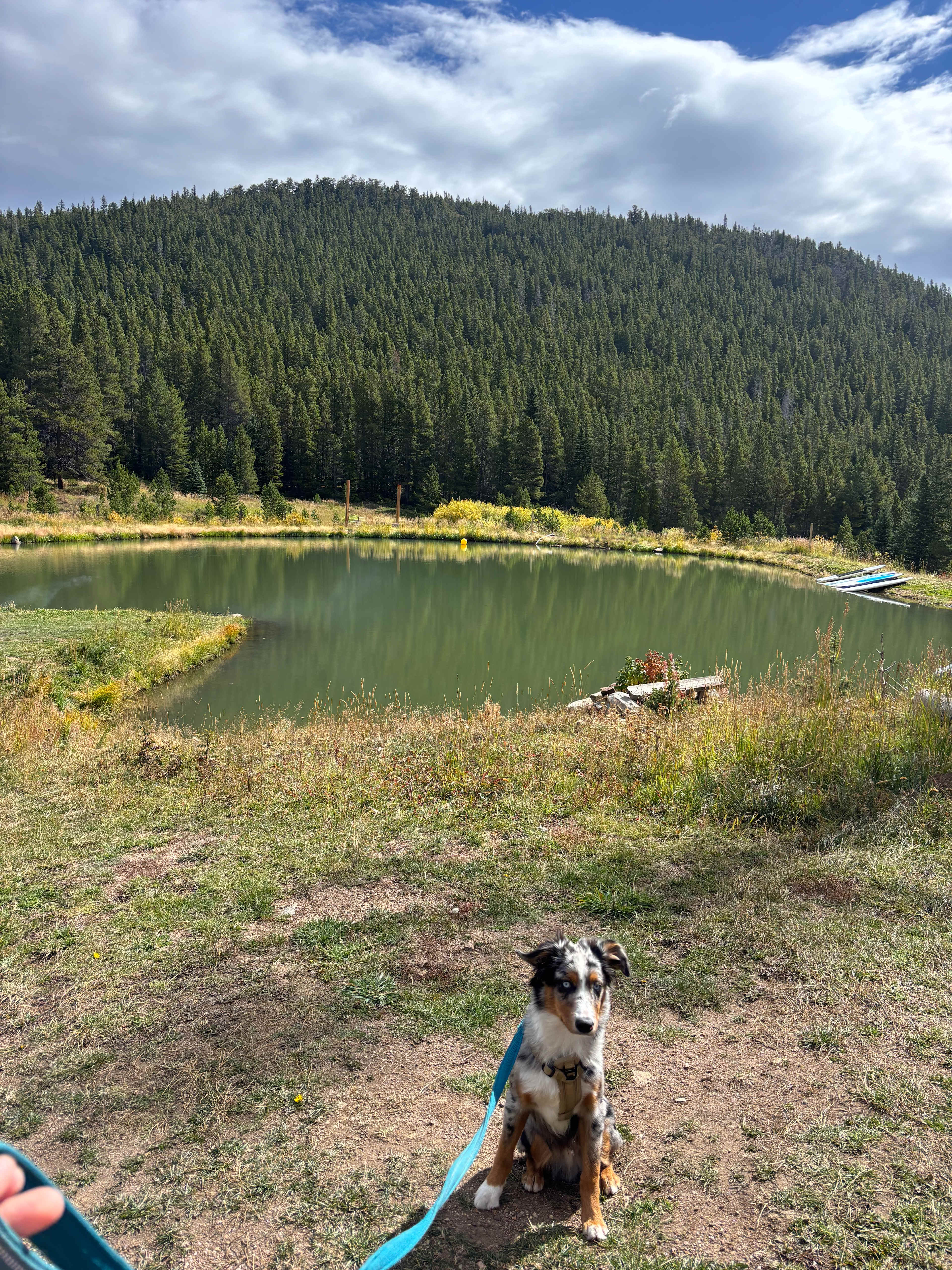 Wideawake Ranch and Waterhouse