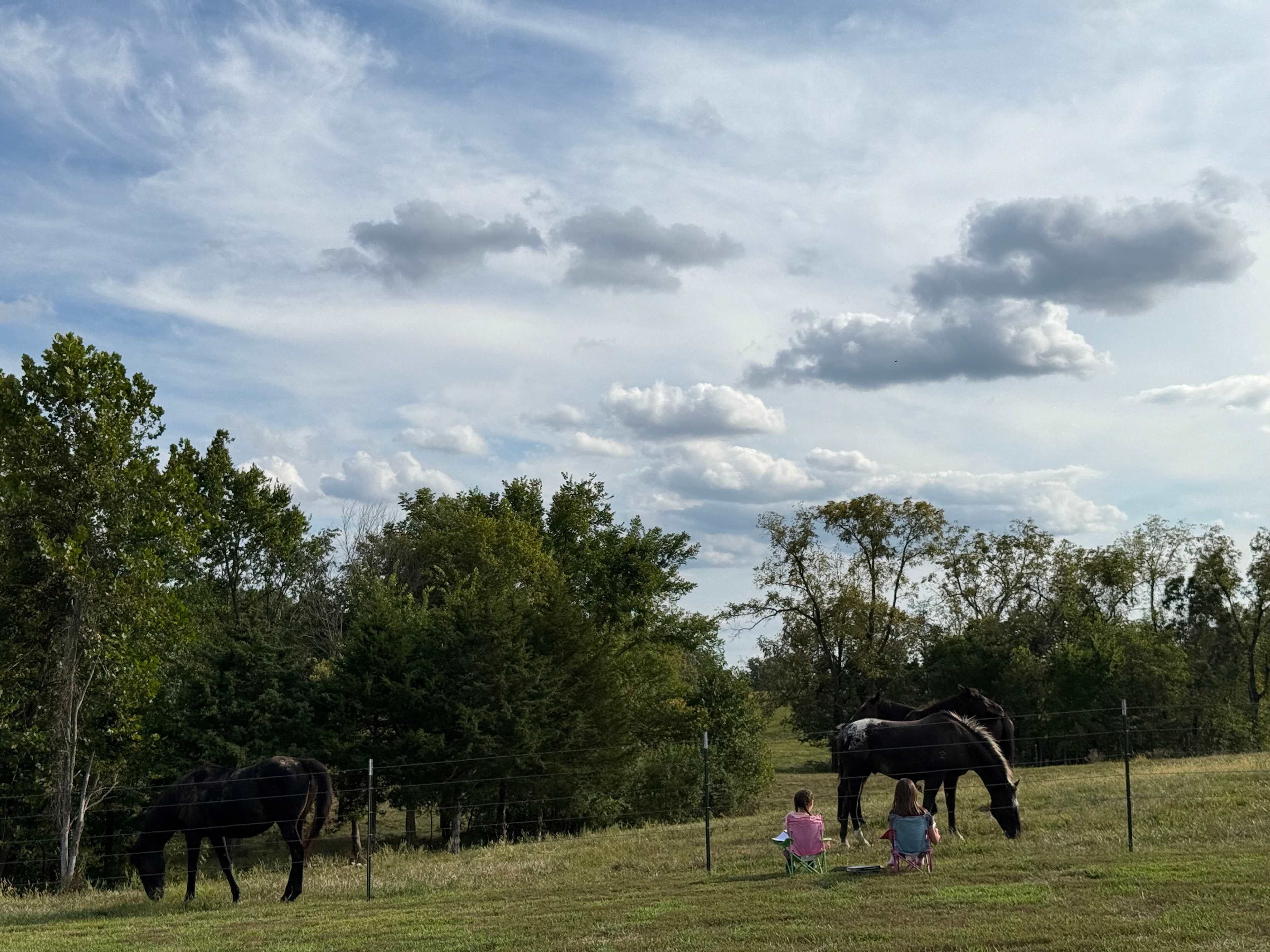 Selby Farm Horse Retirement