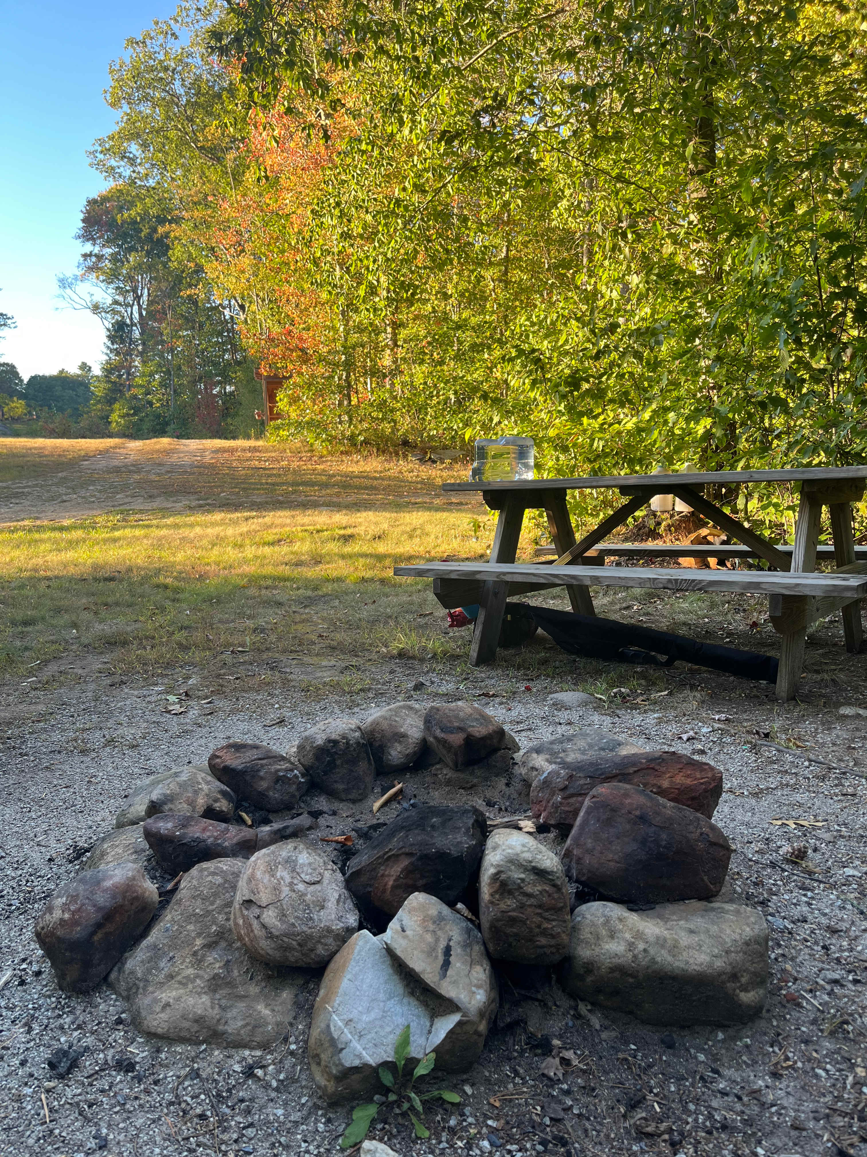 Someday Farm and Forest