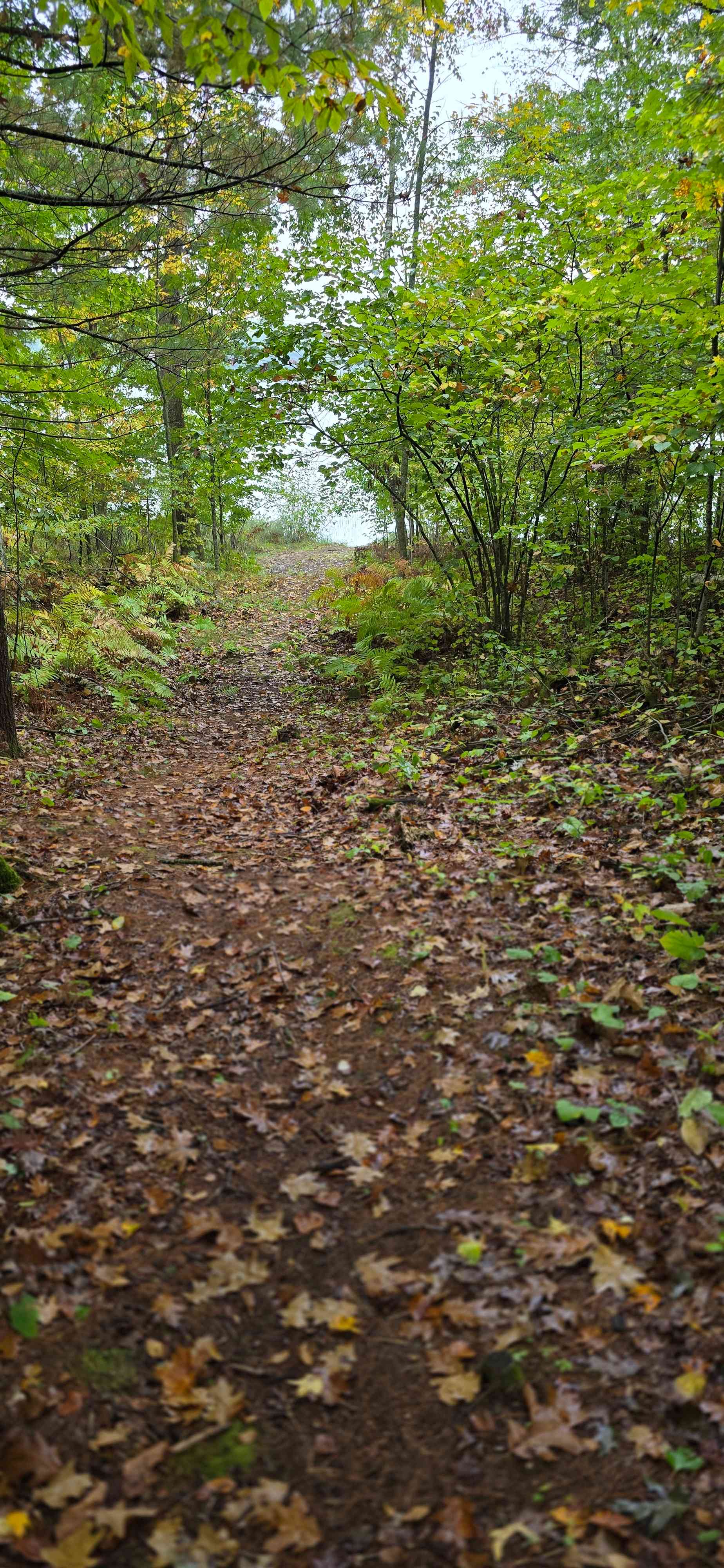 Trapper Arts Camping Retreat