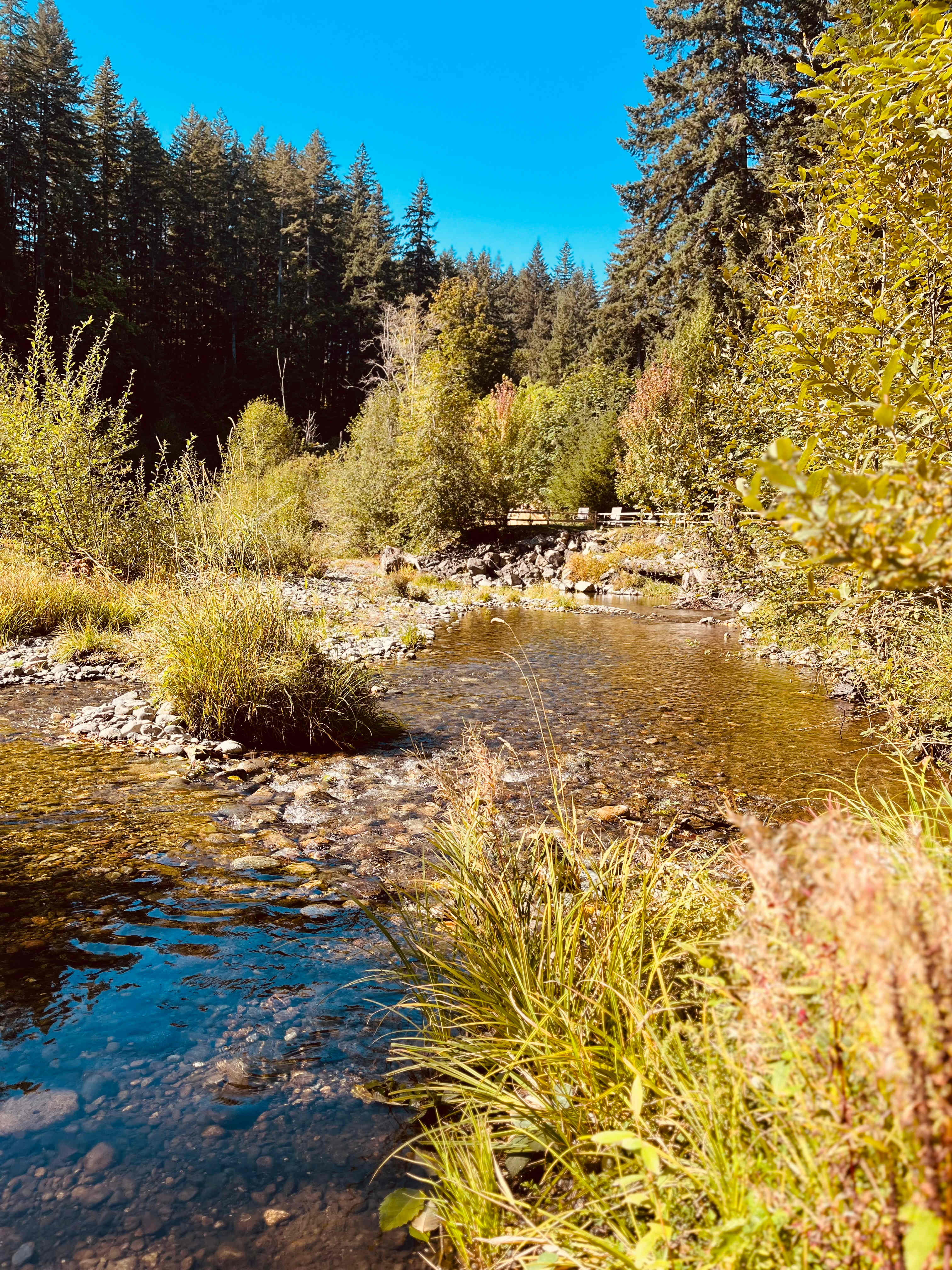 Riverfront right below Site #1