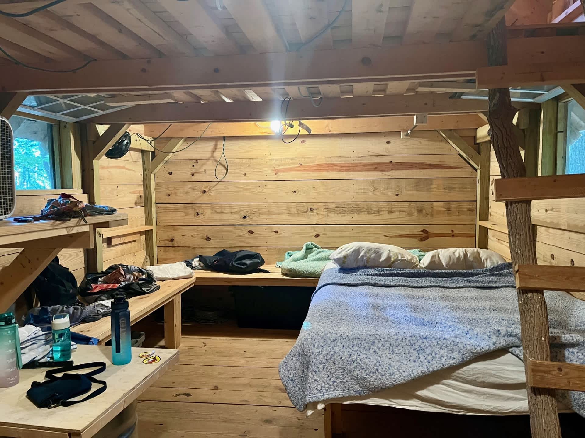 Cabin and Barn on 20 Peaceful Acres