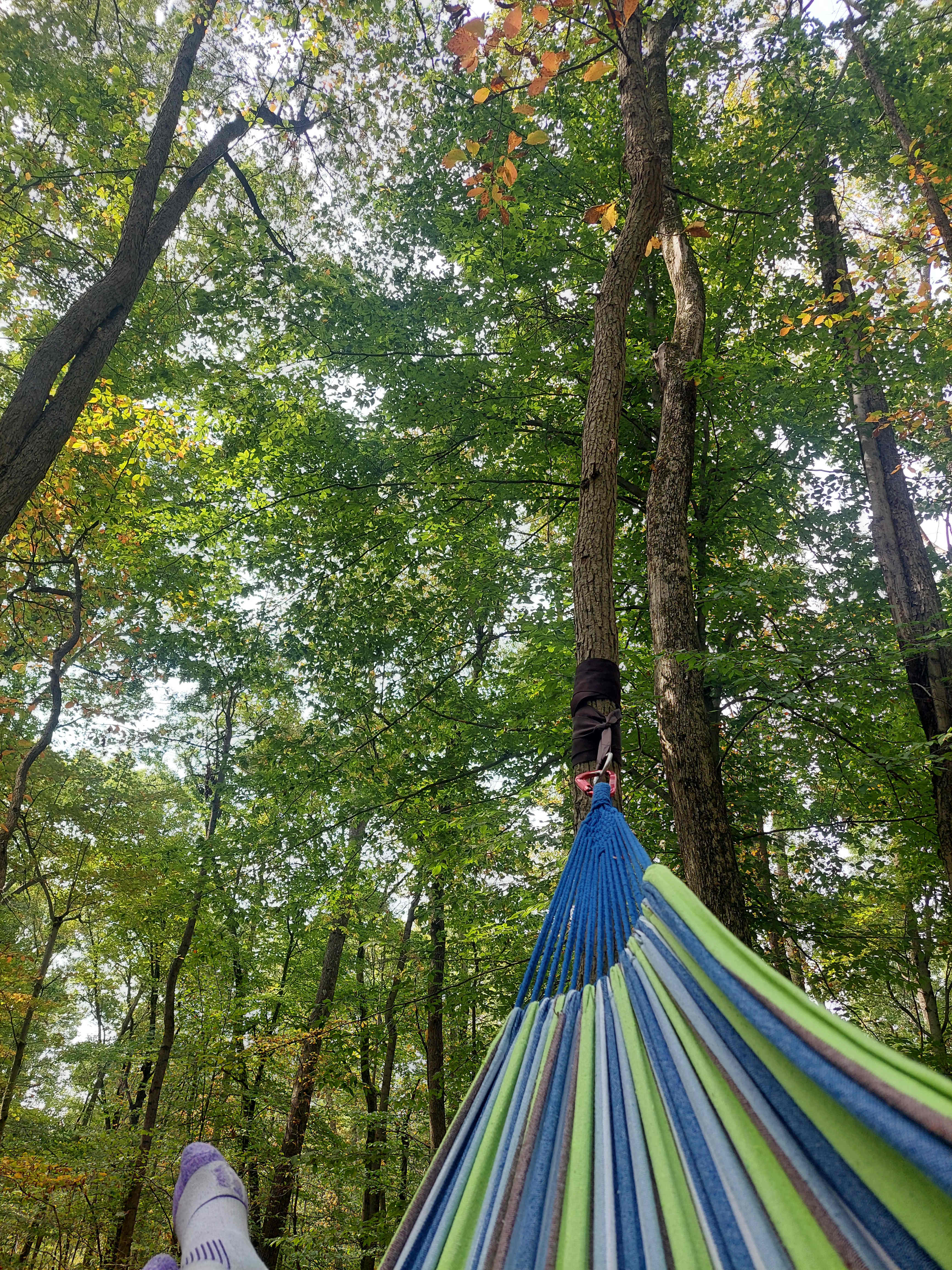 Good hang!