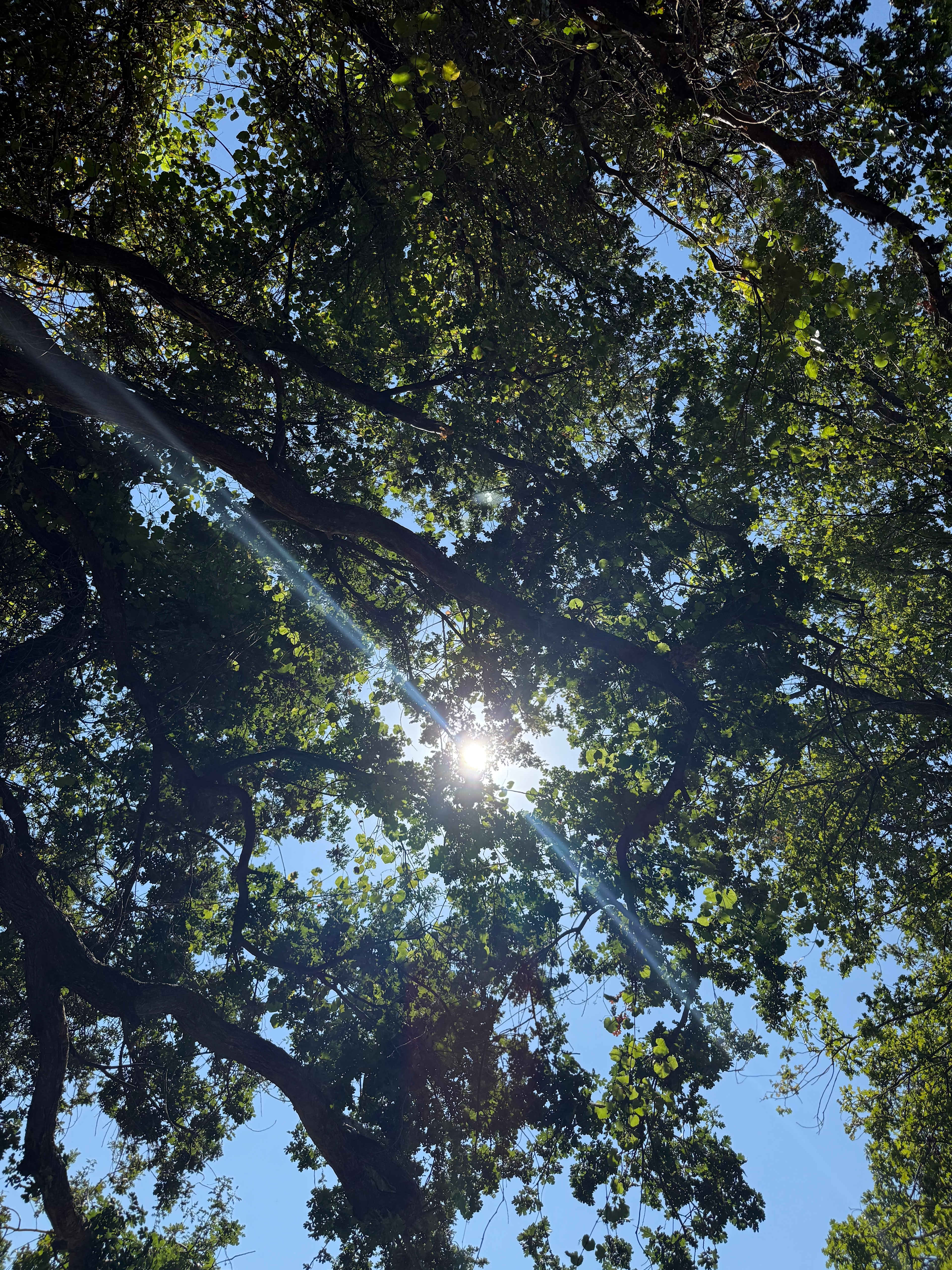 FullCircle Florals Flower Farm