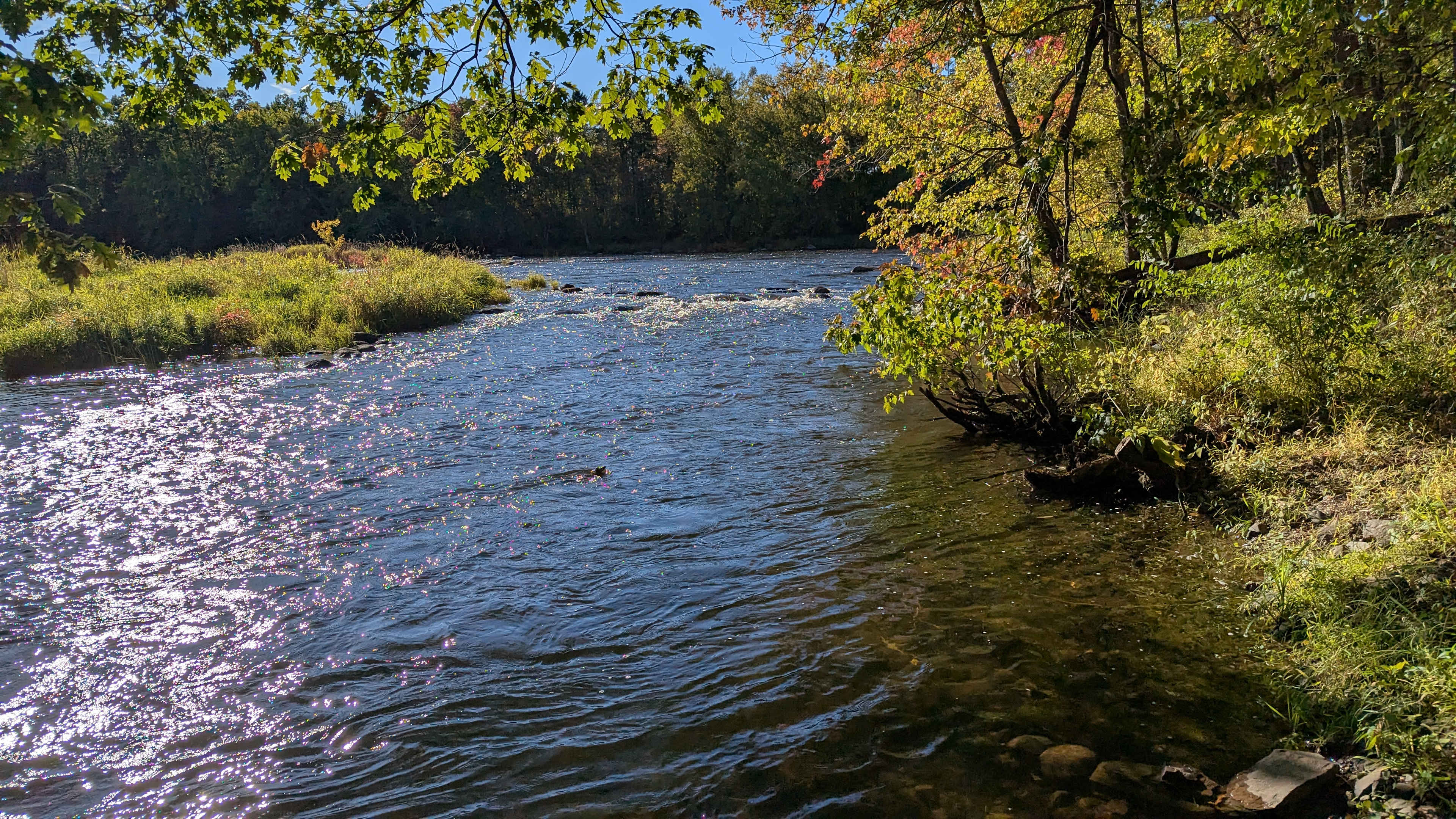 River Run Eco-Friendly Cabins/ camp
