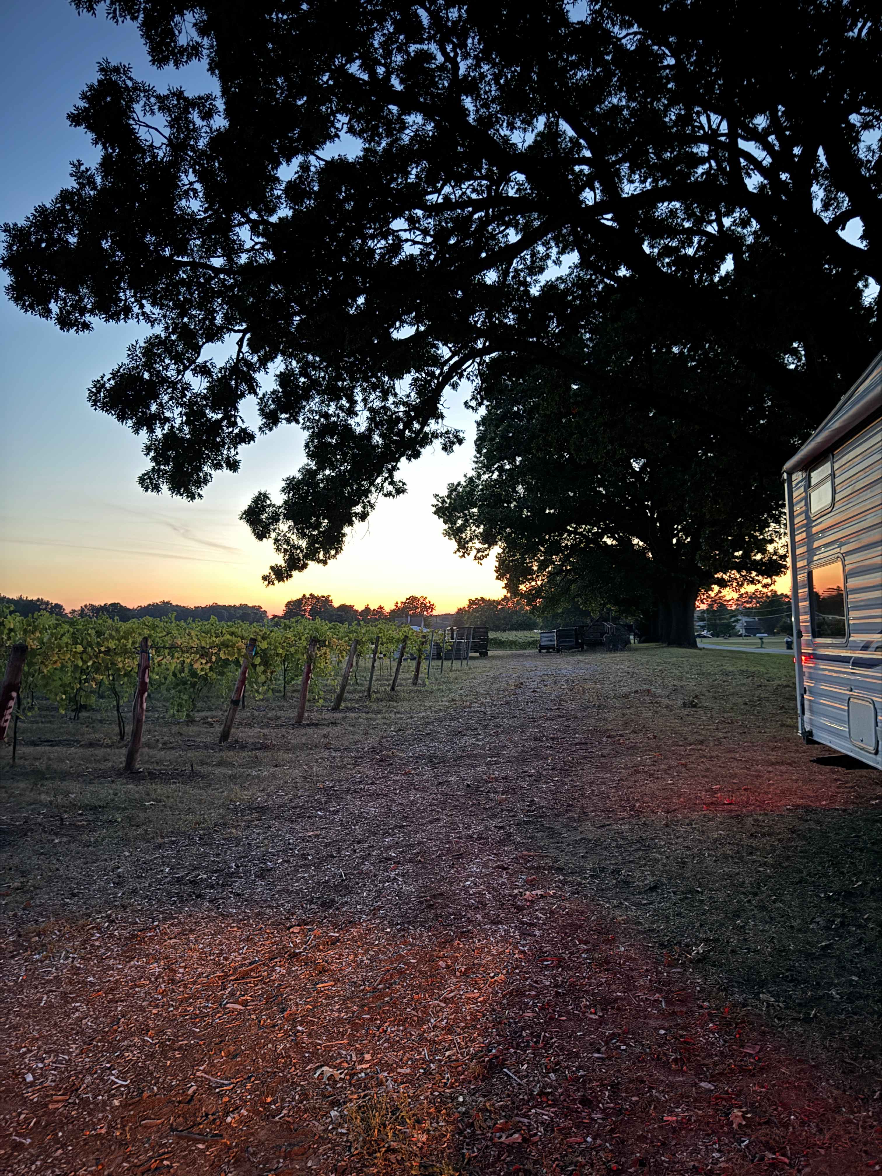 Hunt’s Hillside Vineyards