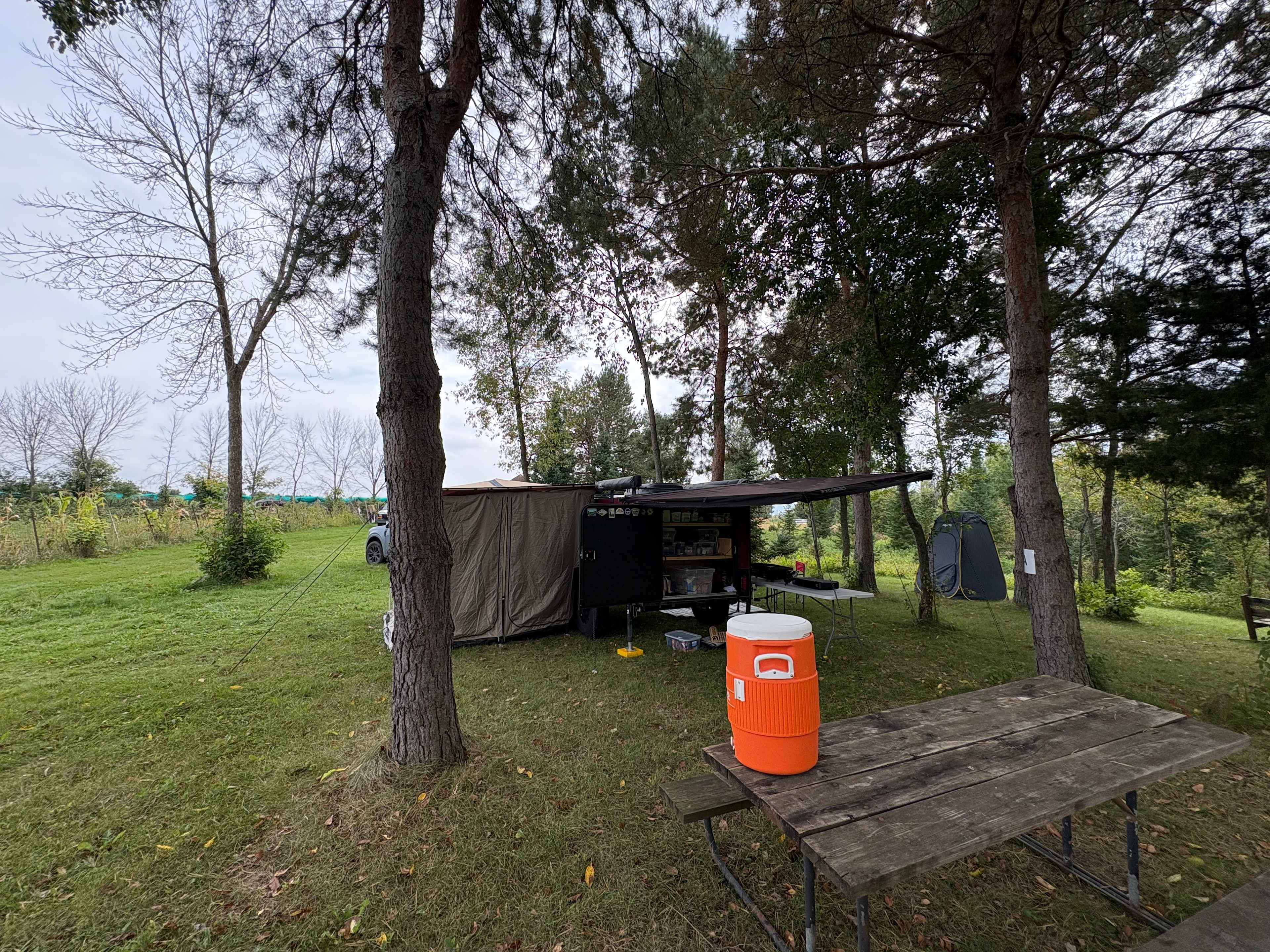 Honeyberry Minnesota working farm