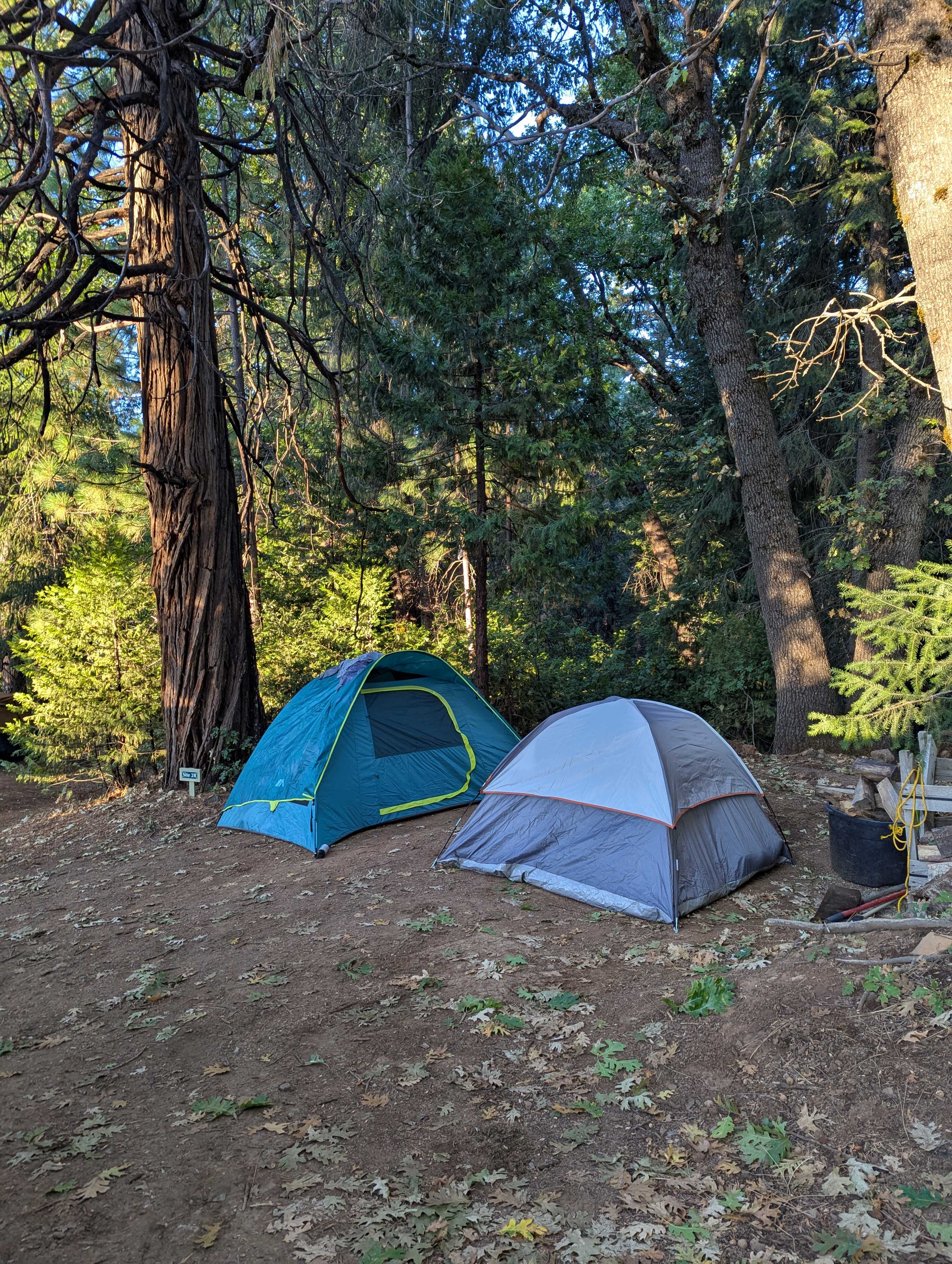 1 of many areas to put your tent! 