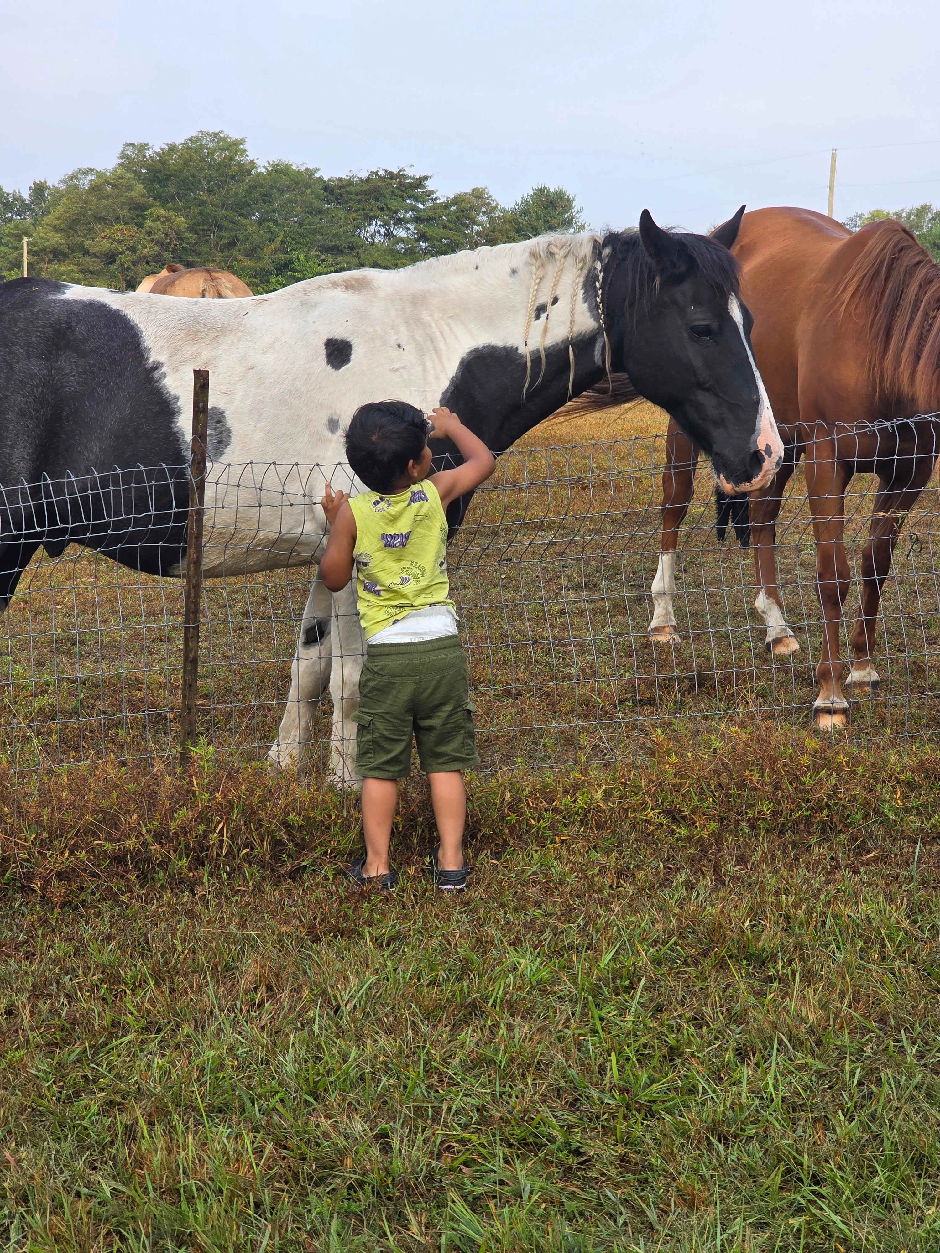 Cabins at Guthrie Meadows