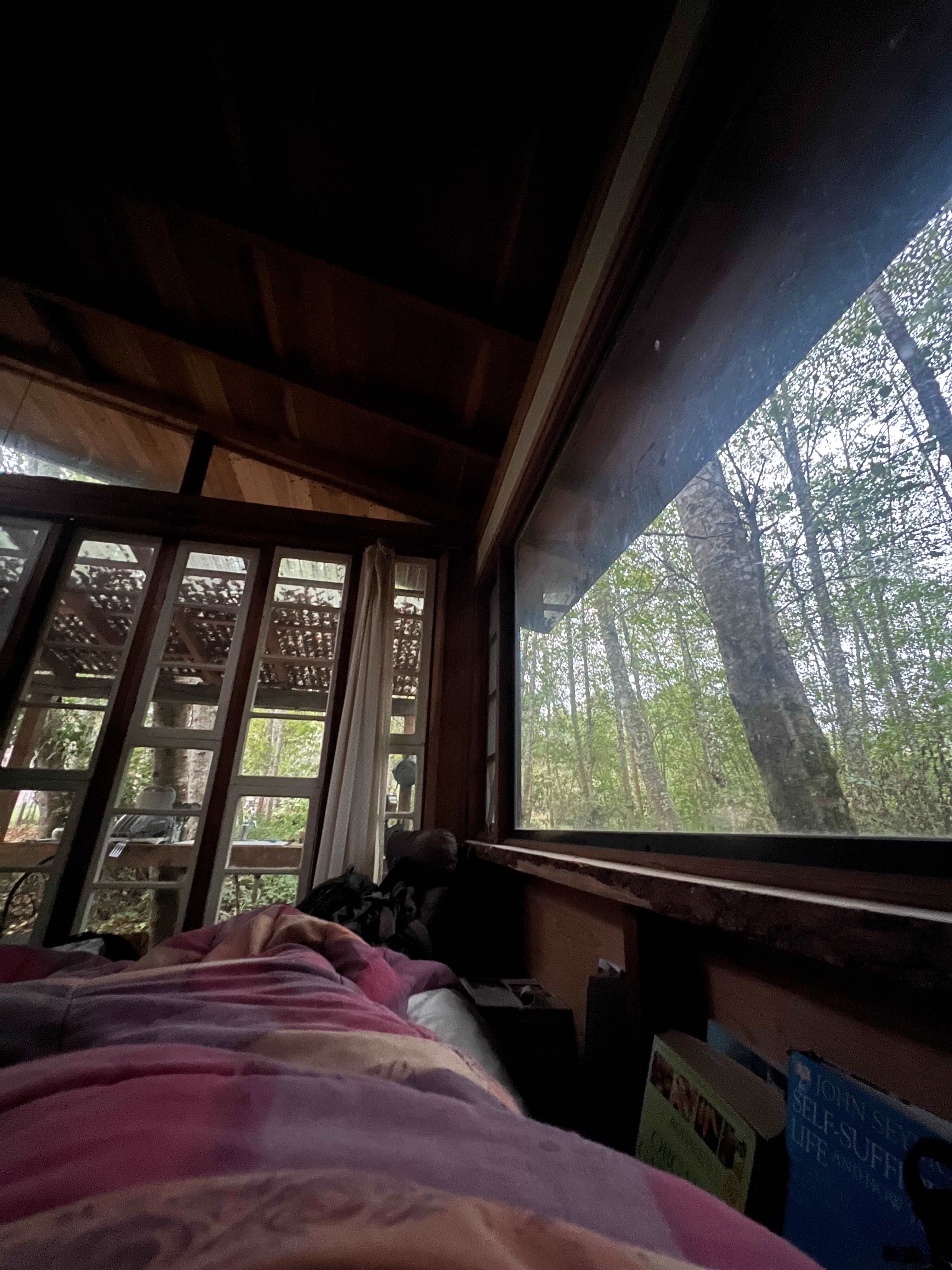 Morning view 