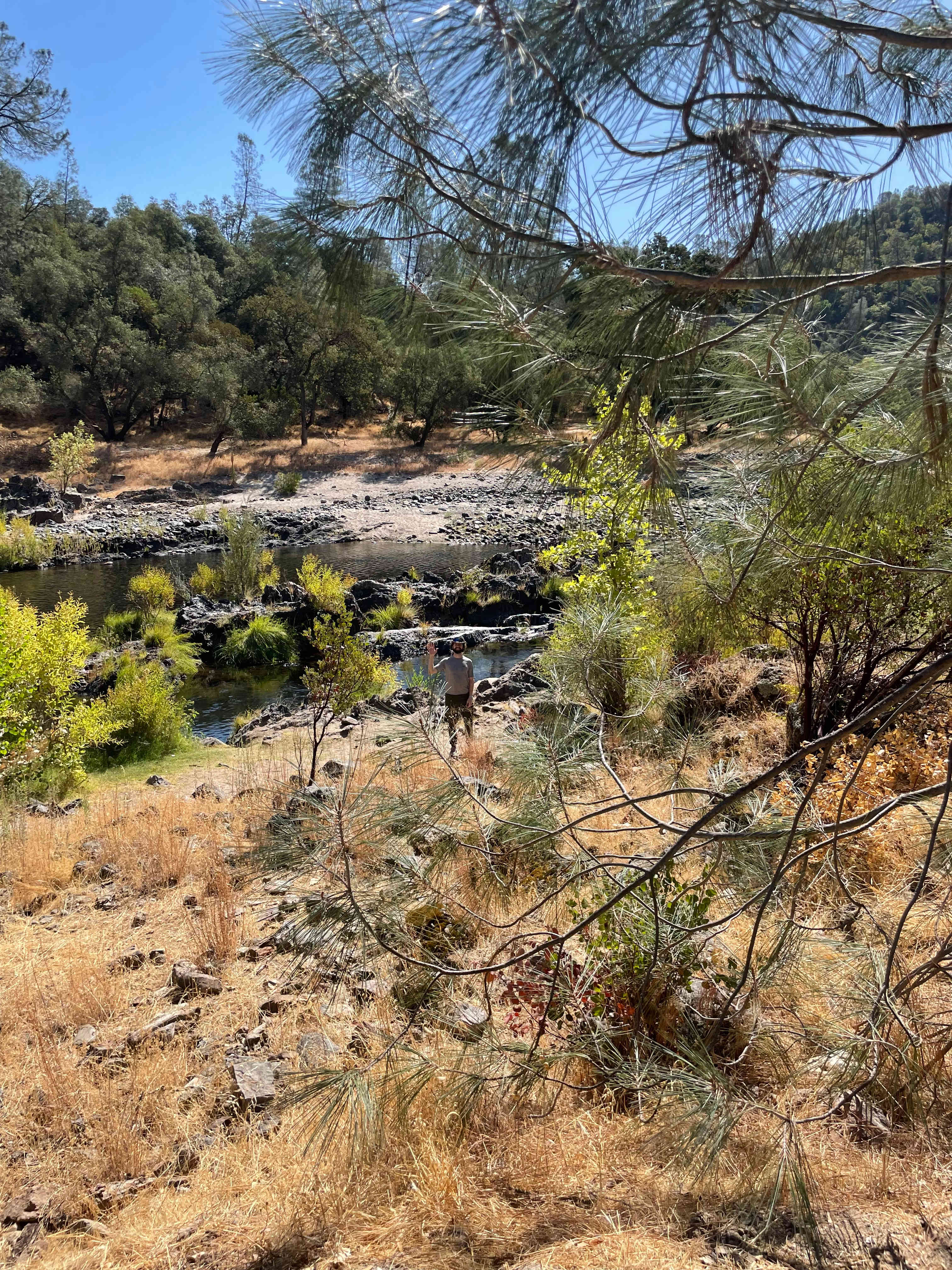 Cosumnes River Ranch