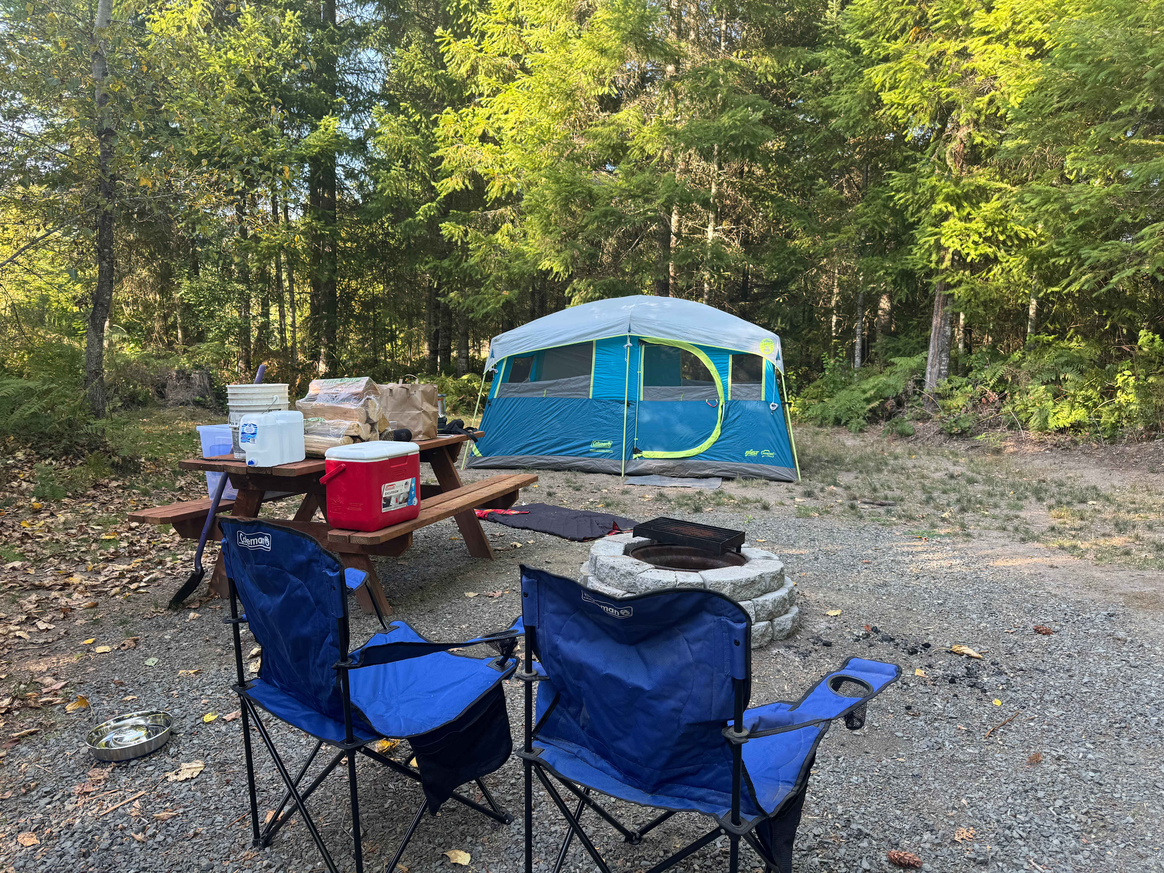 Mountain Lavender Escape