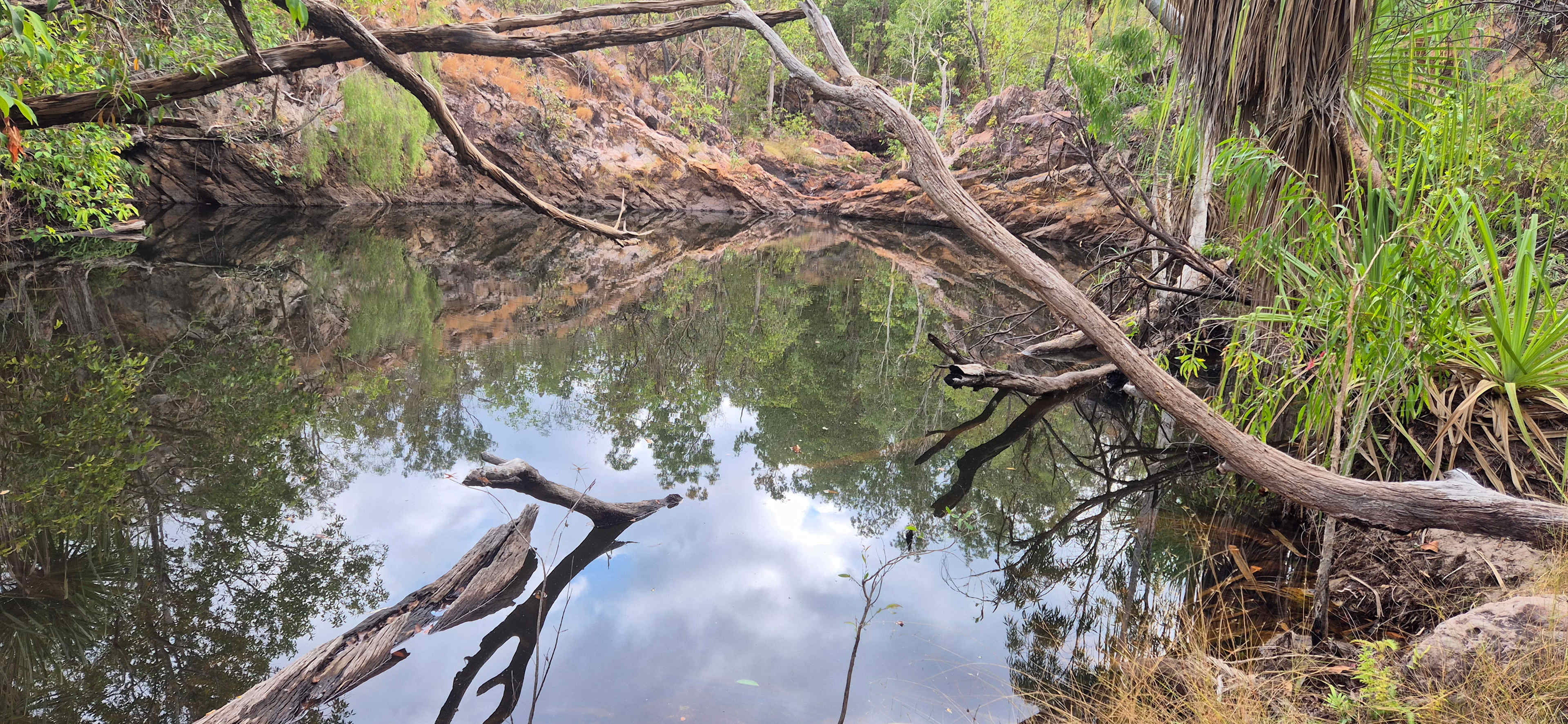 Litchfield Safari Camp