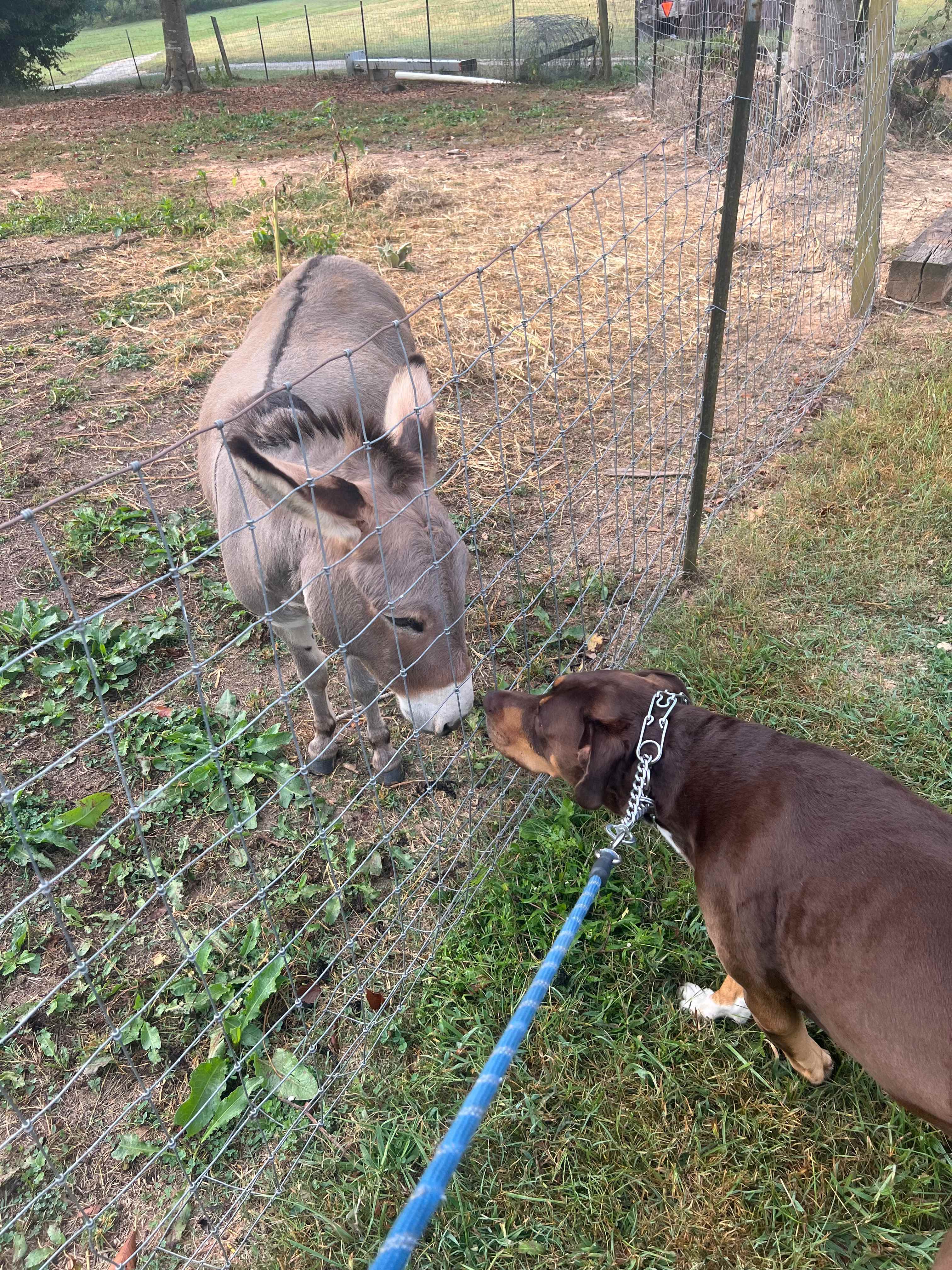 The Oasis at Harmon Creek Farms