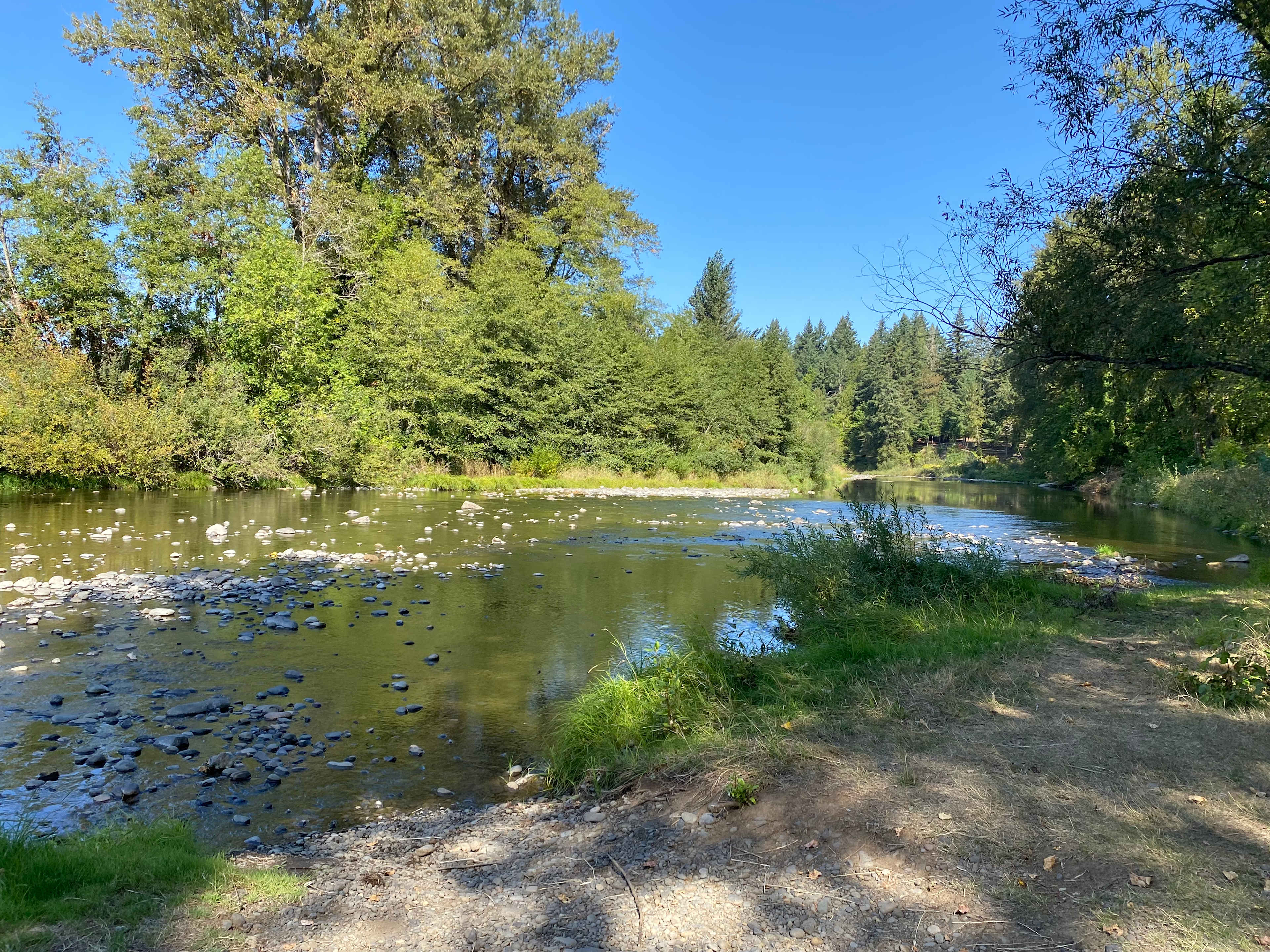 Molalla Ripple