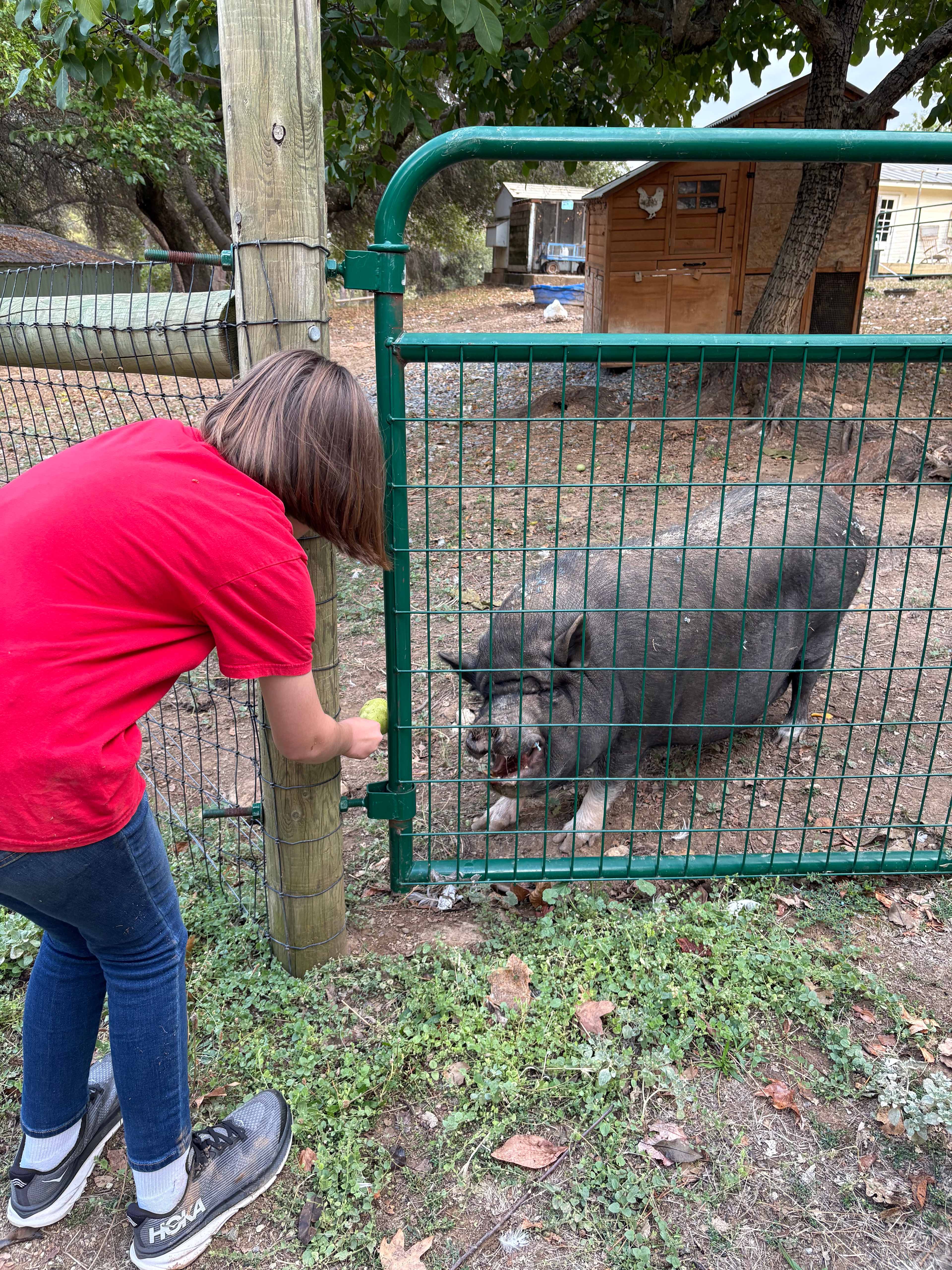 Animal Lovers Paradise