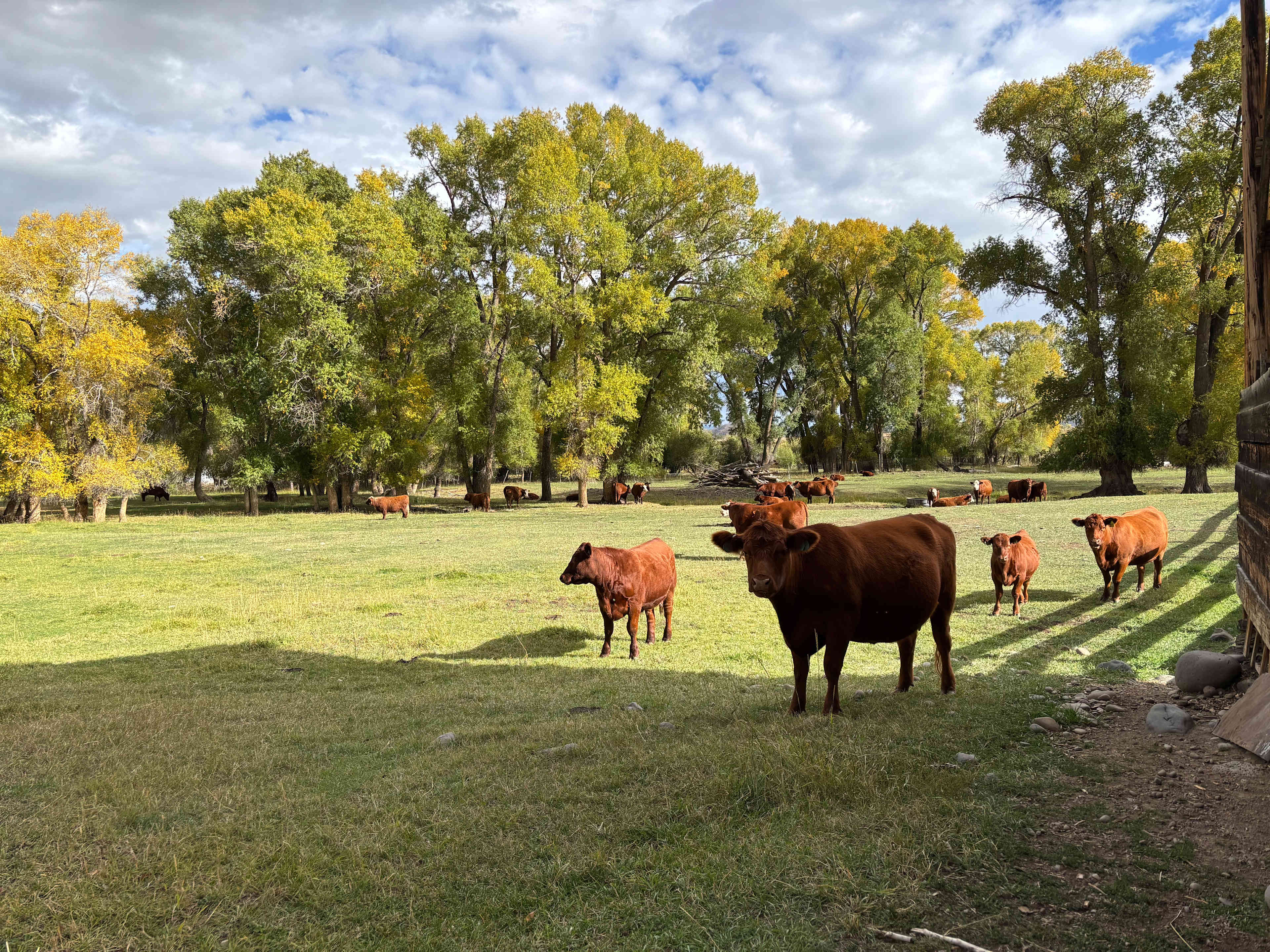 Valley of the Bear Ranch