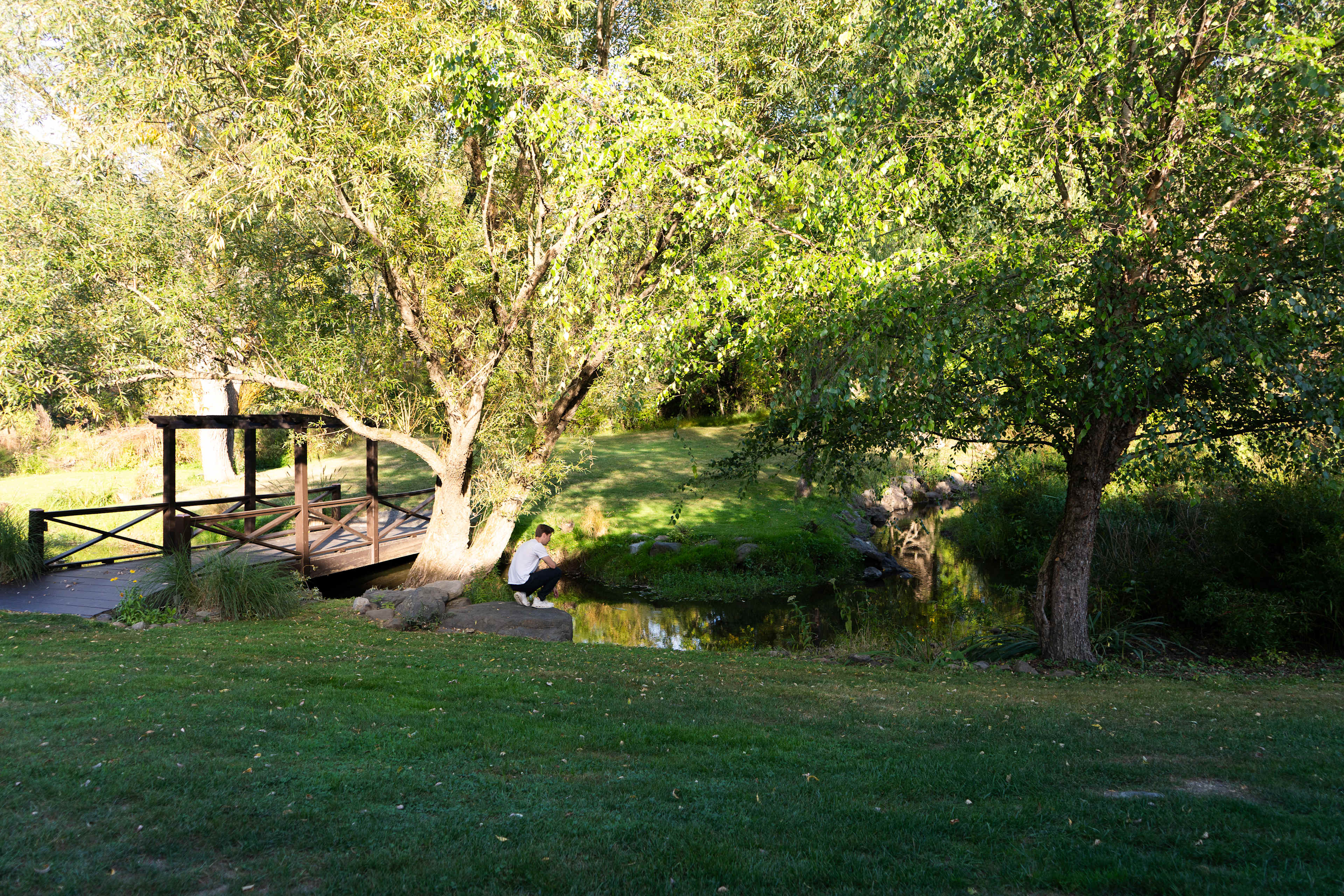 Hanging by the creek