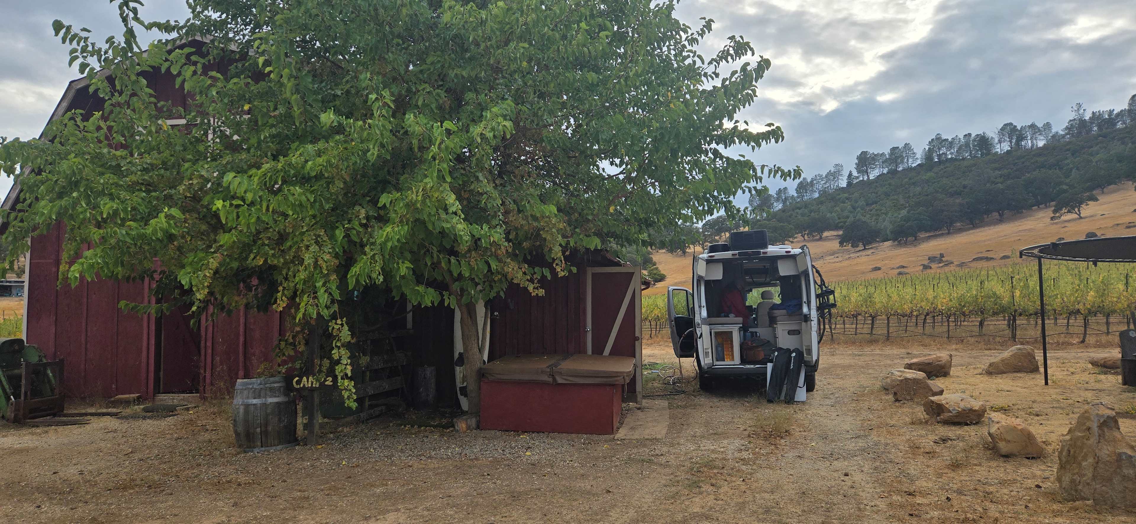 Vineyard Camping at Bad Rat Ranch
