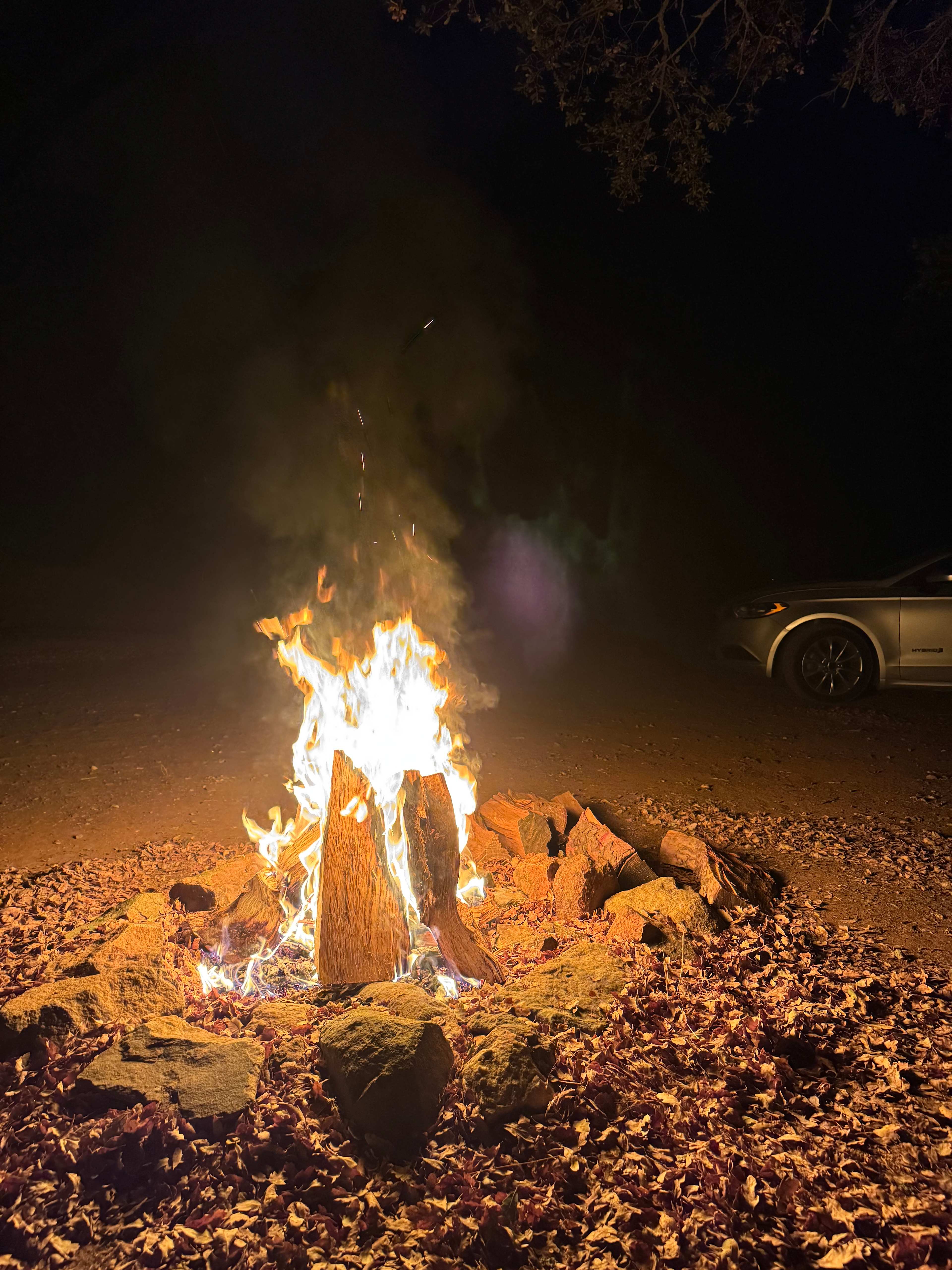 Rocksteady Adventures