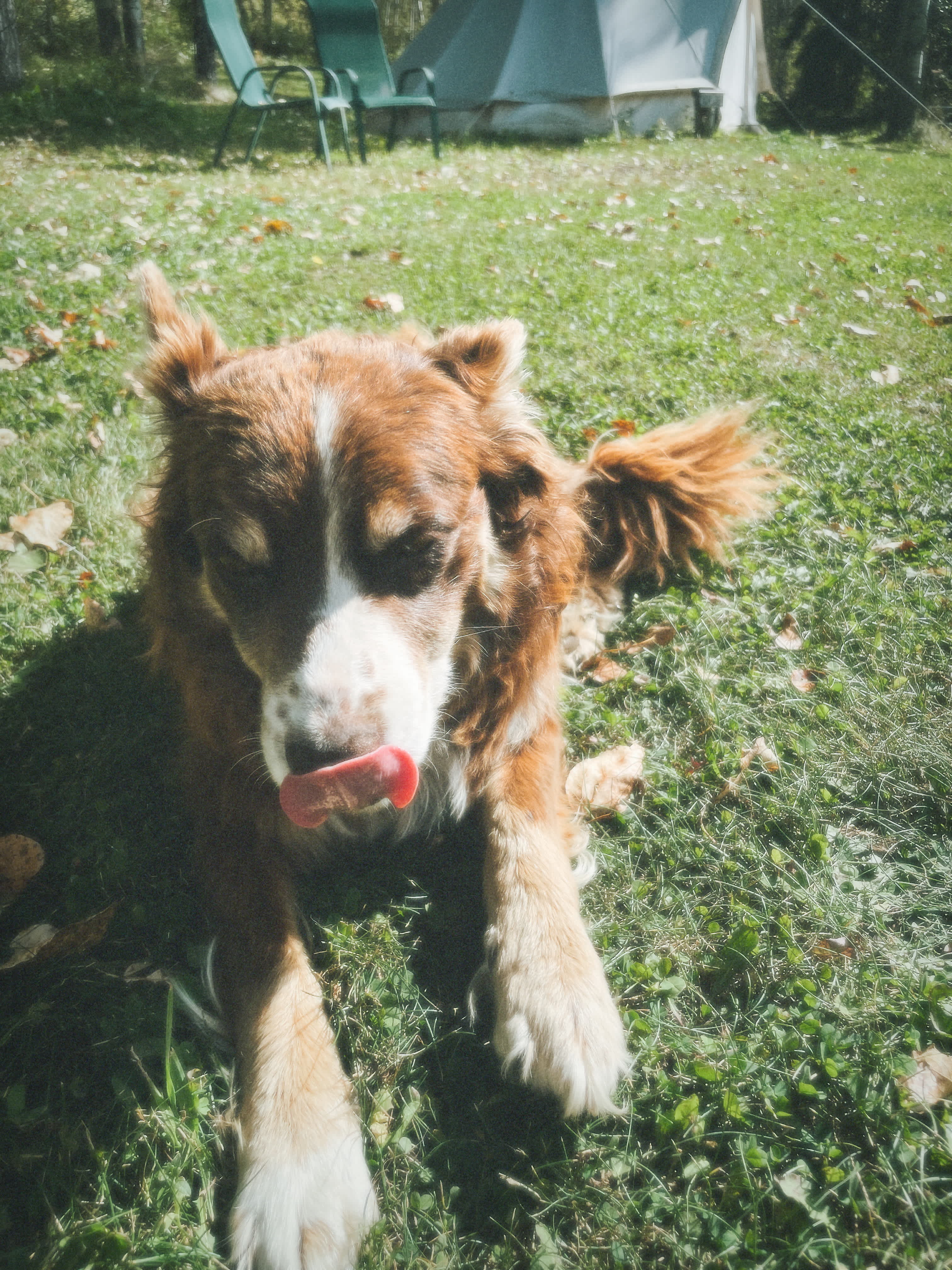 Hidden Springs Retreat & Guesthouse