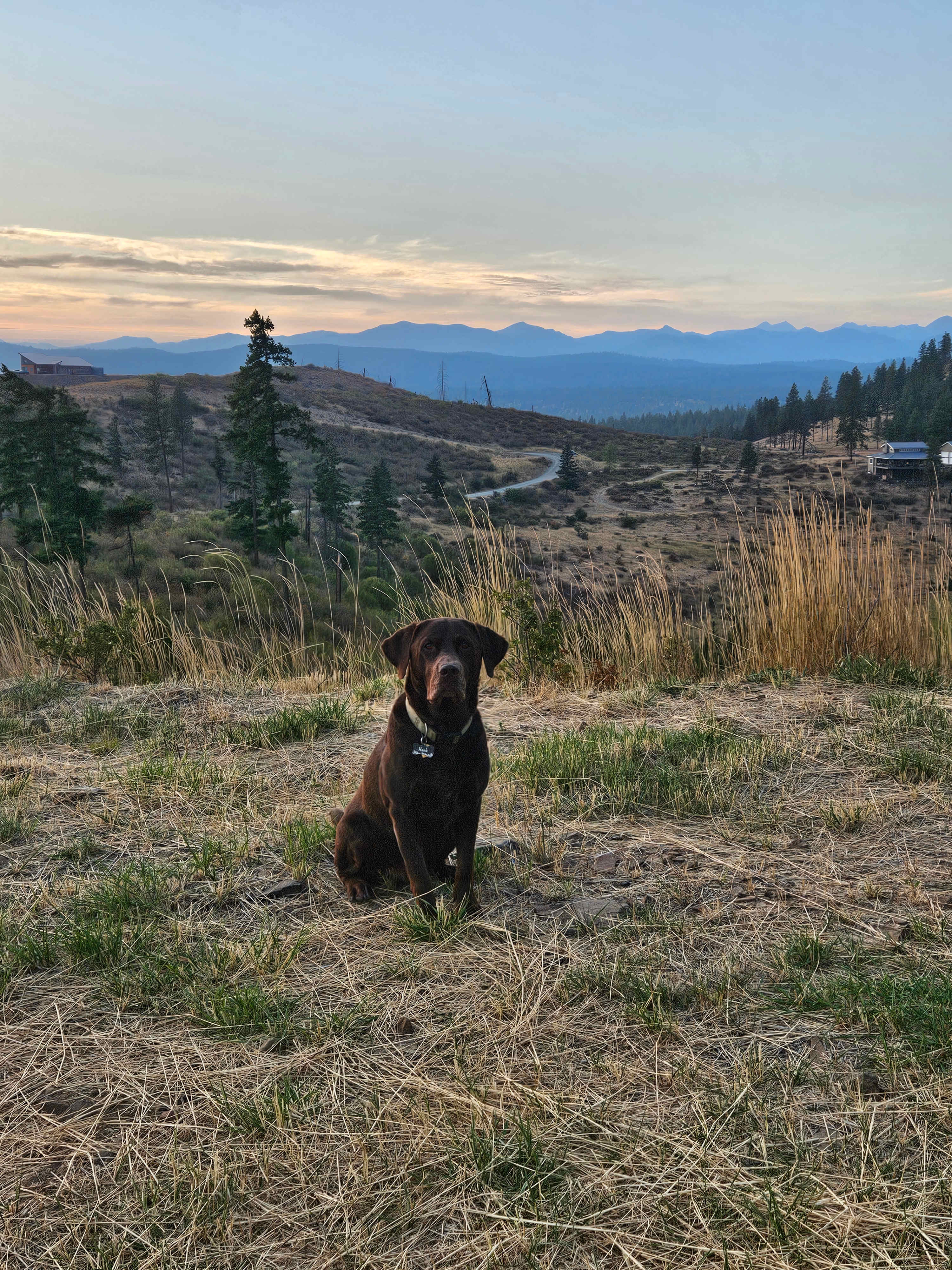 Top of the world!!!!!!!