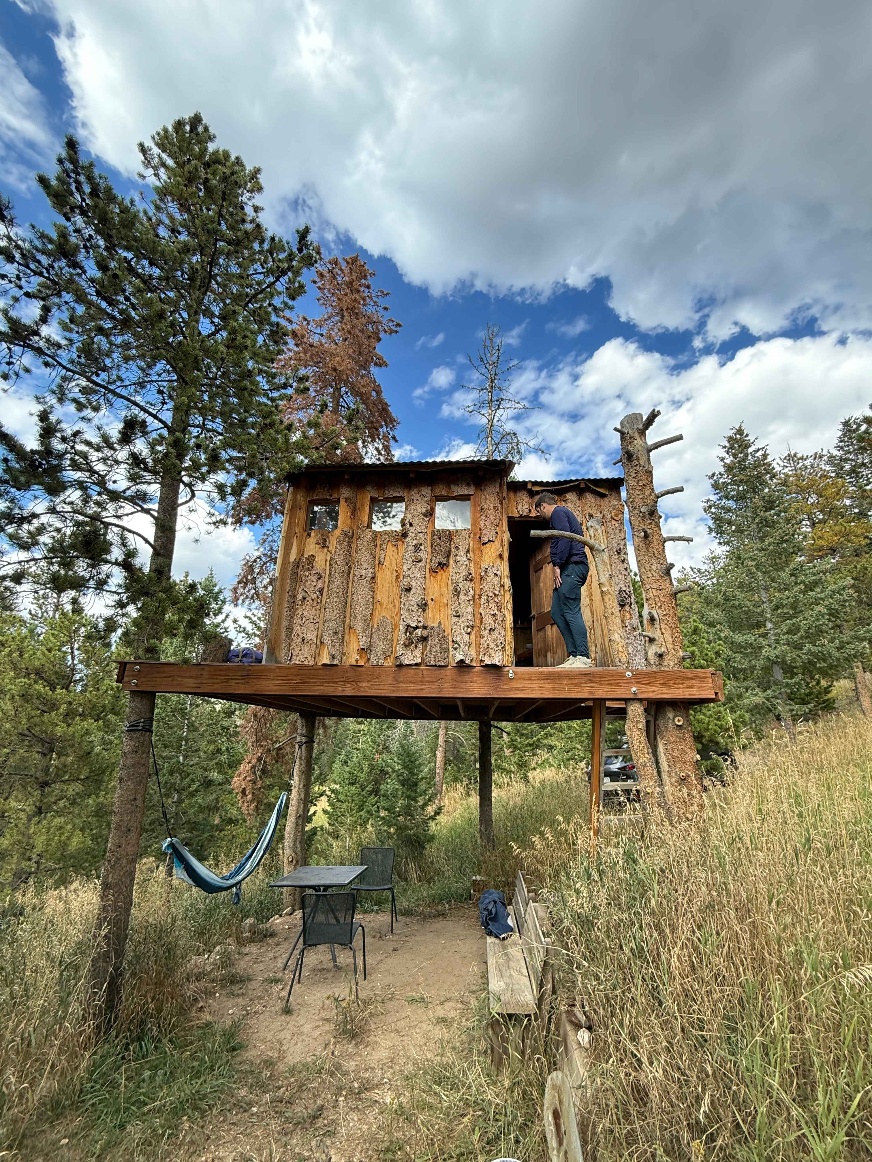 Gold Nugget Tree House