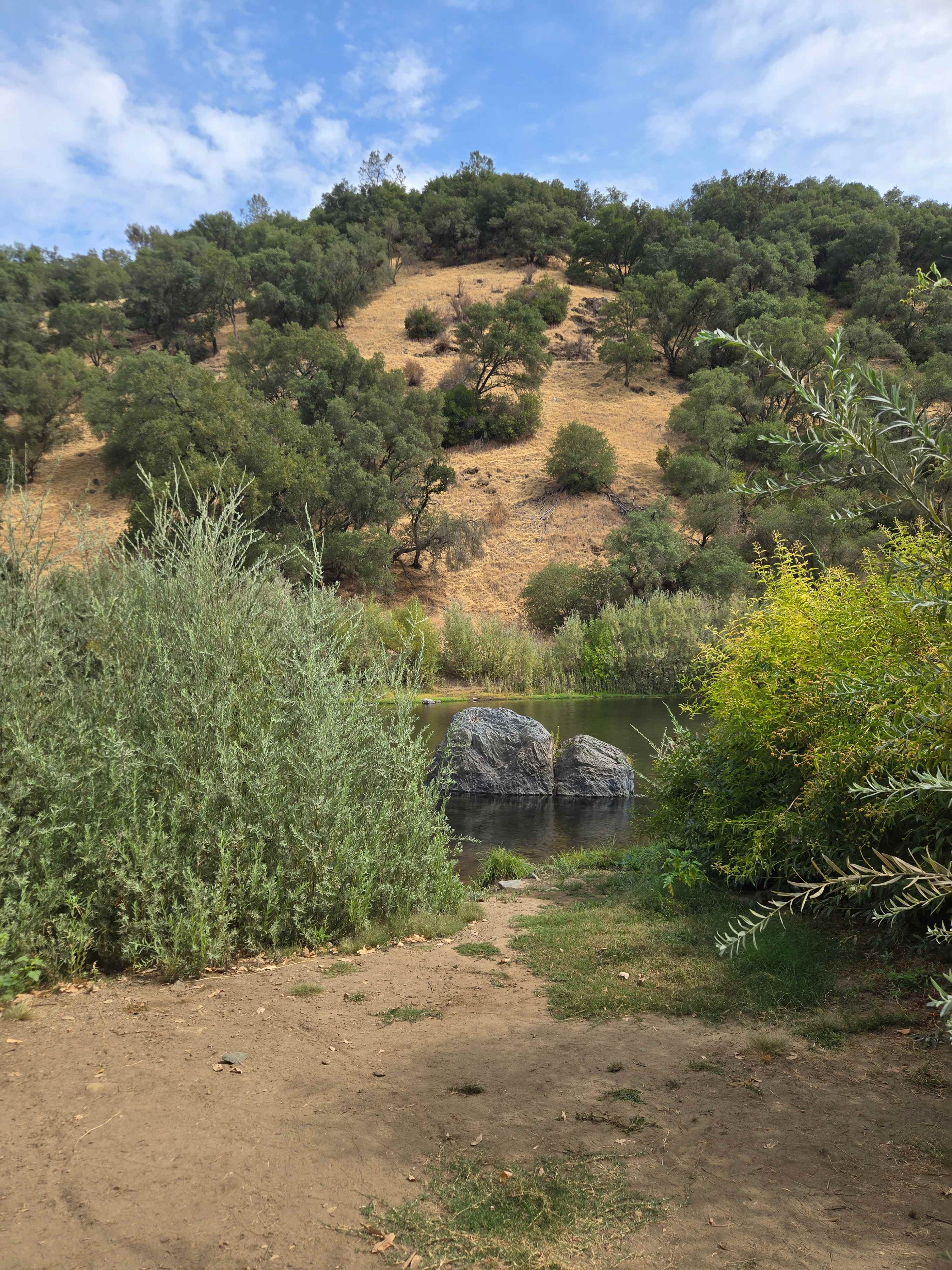 Cosumnes River Ranch