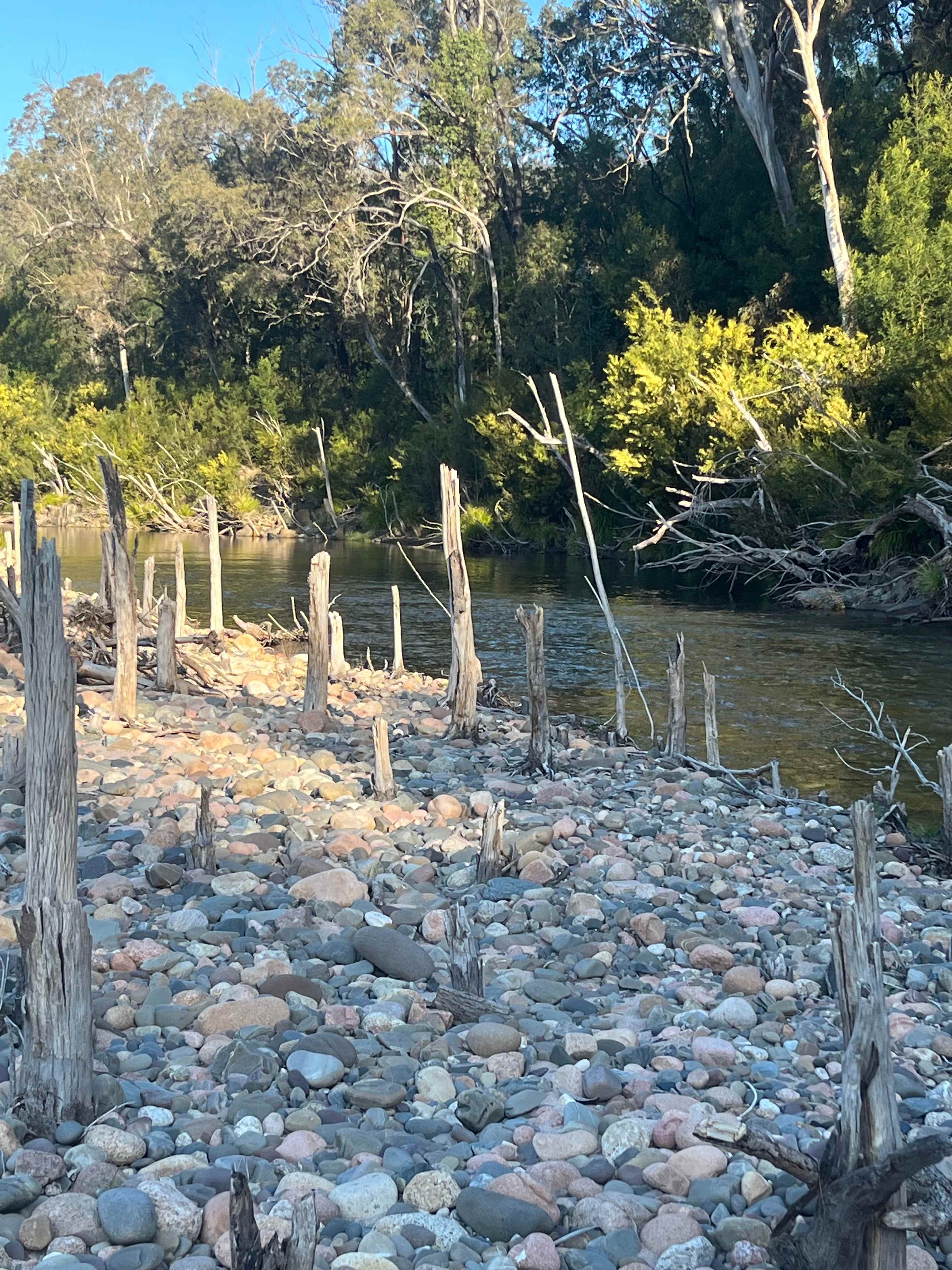 Nerrigundah Tuross River Camping