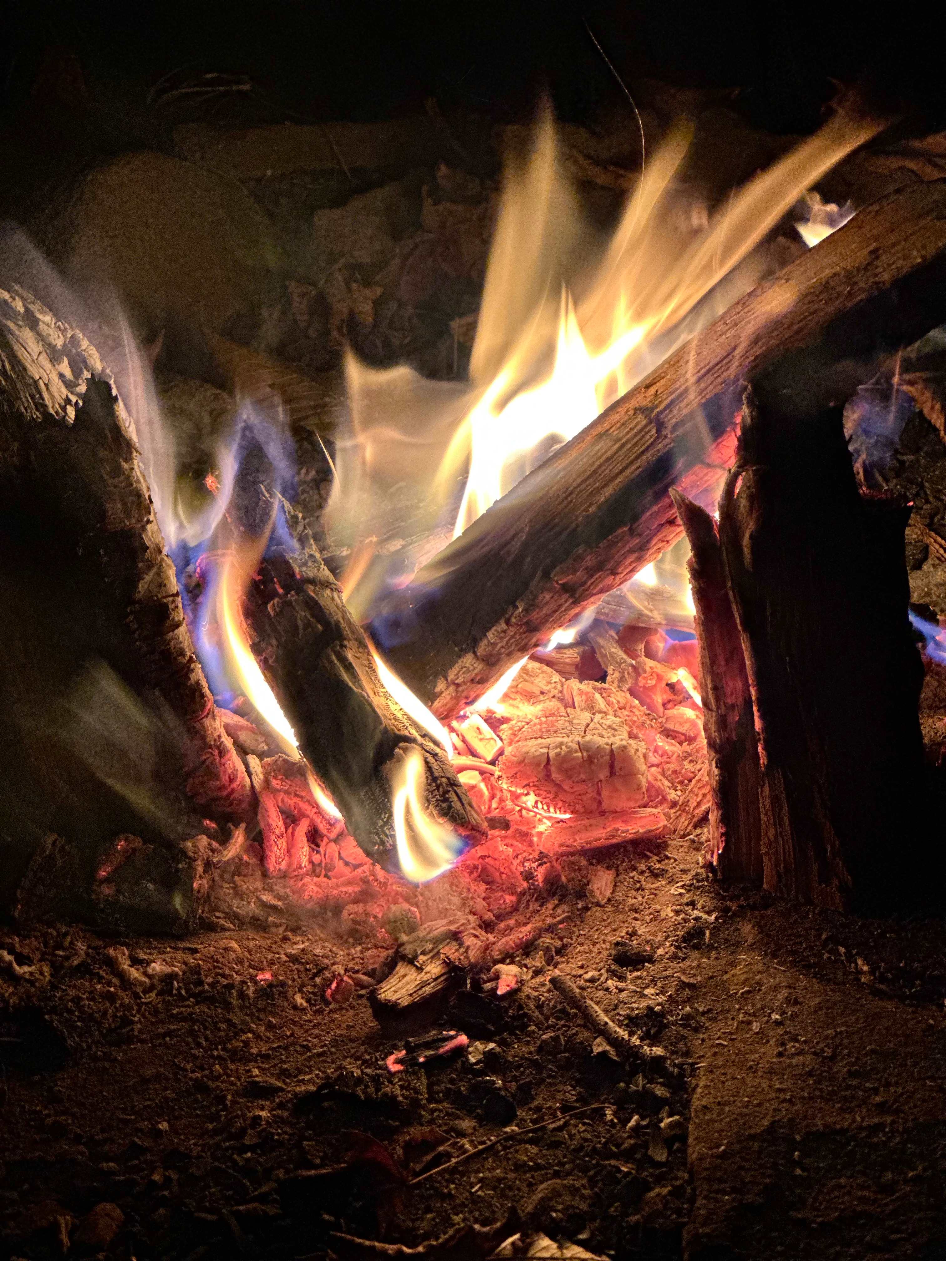 TainoWoods Fairy Magical Sweet Land