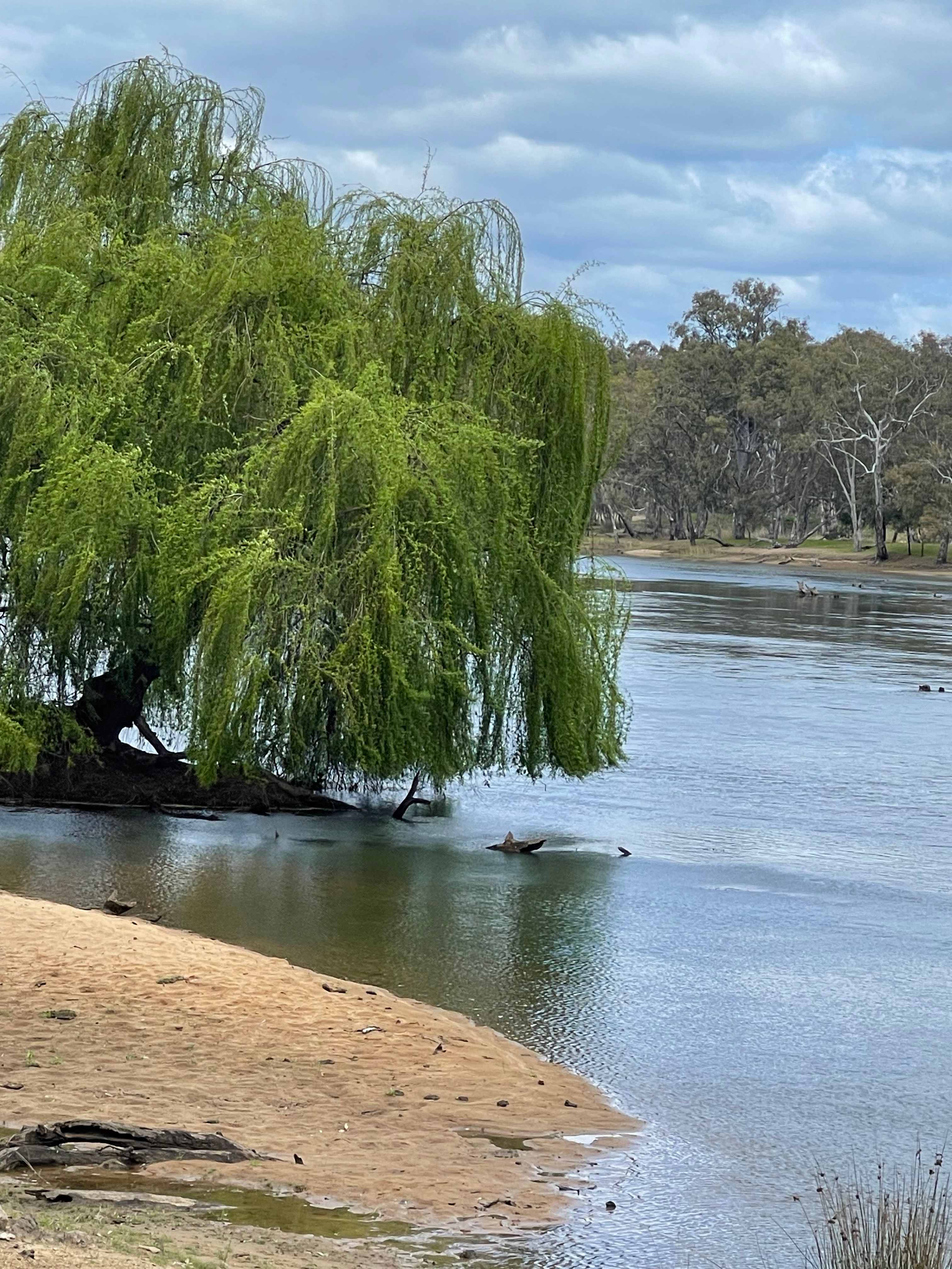 Rolling Hills & Riverside Camping