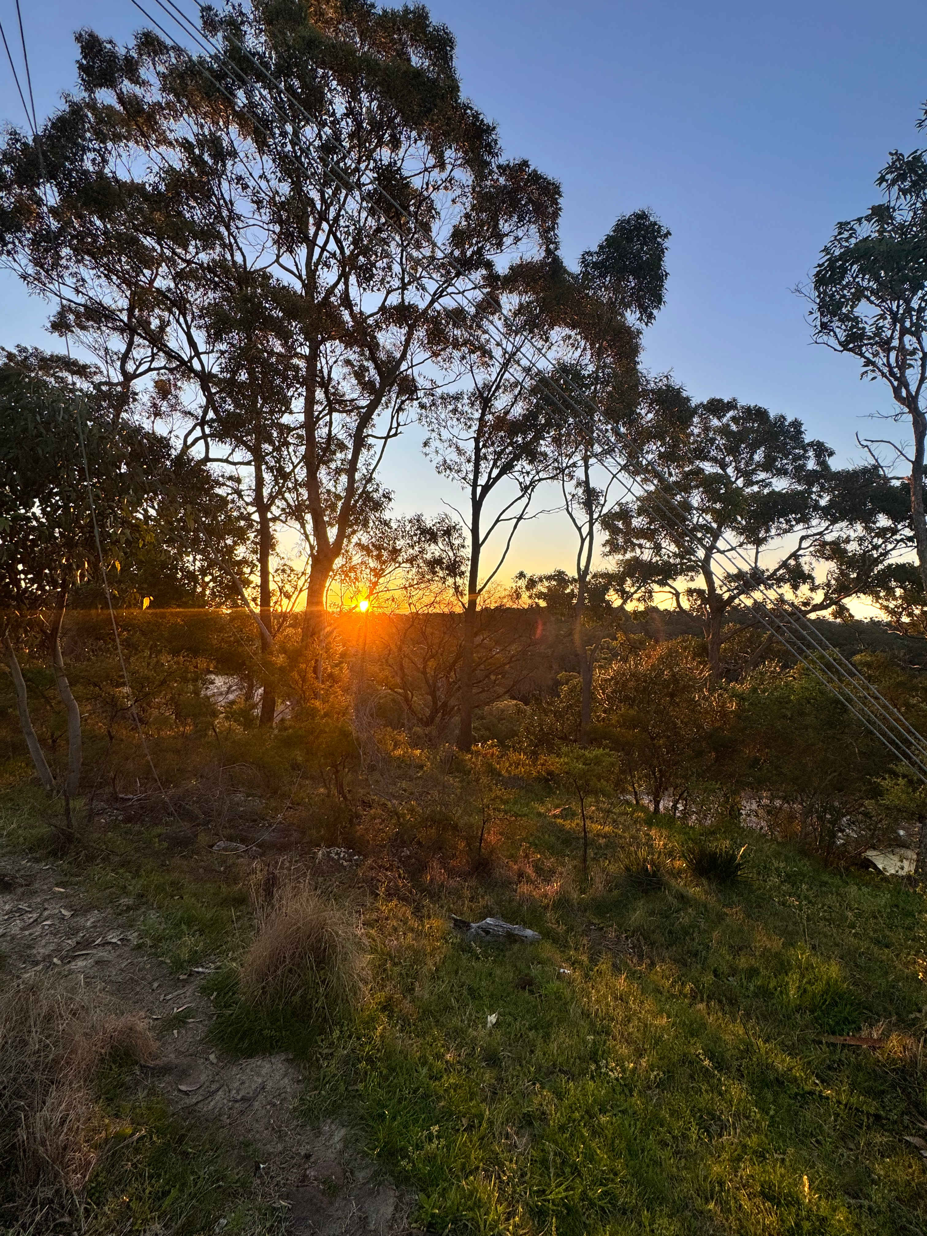 Canoelands Orchard Camping