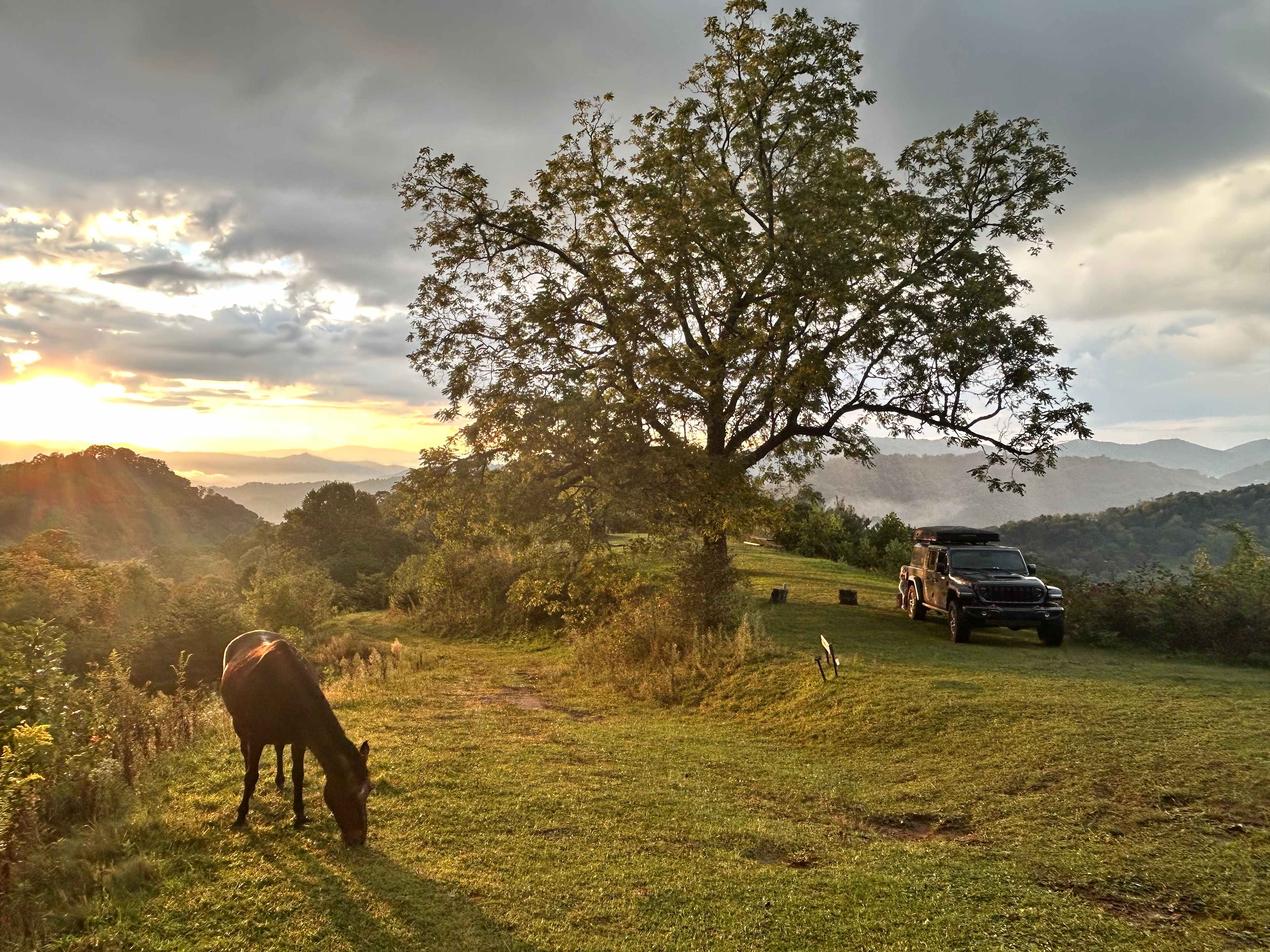 Pause || Eco-Retreat at Aramesh