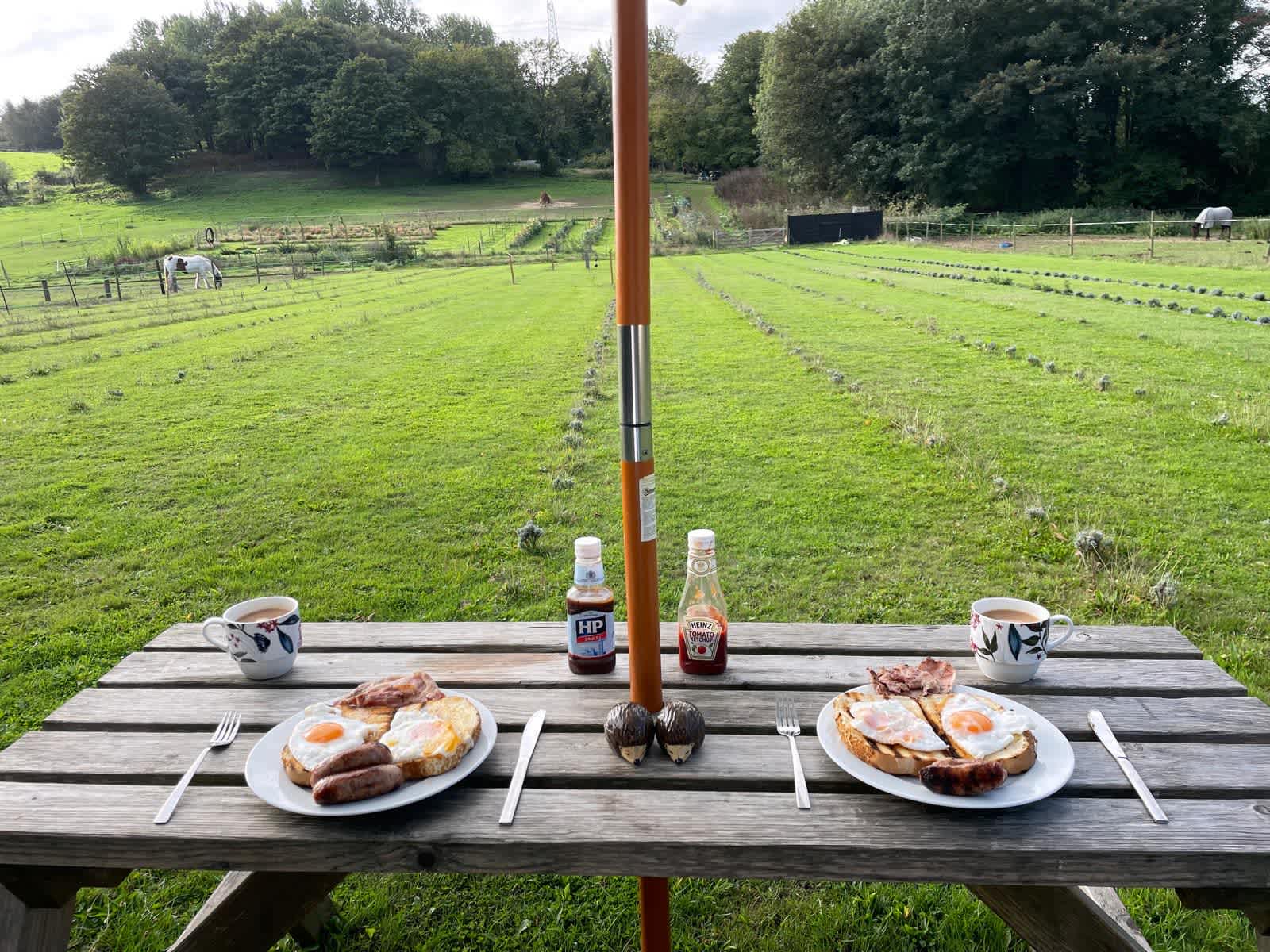 What a view for breakfast